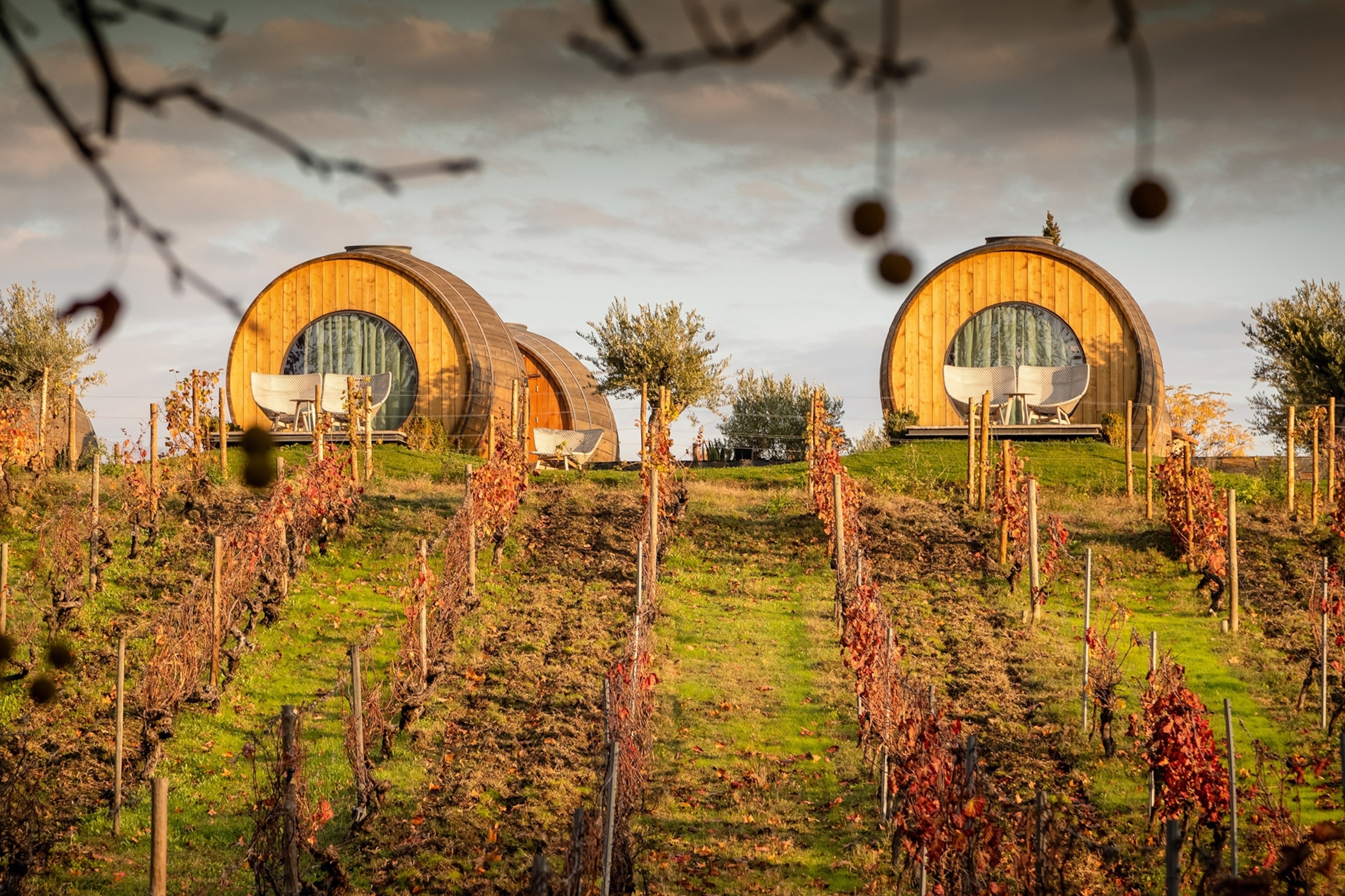 Wooden huts in a field