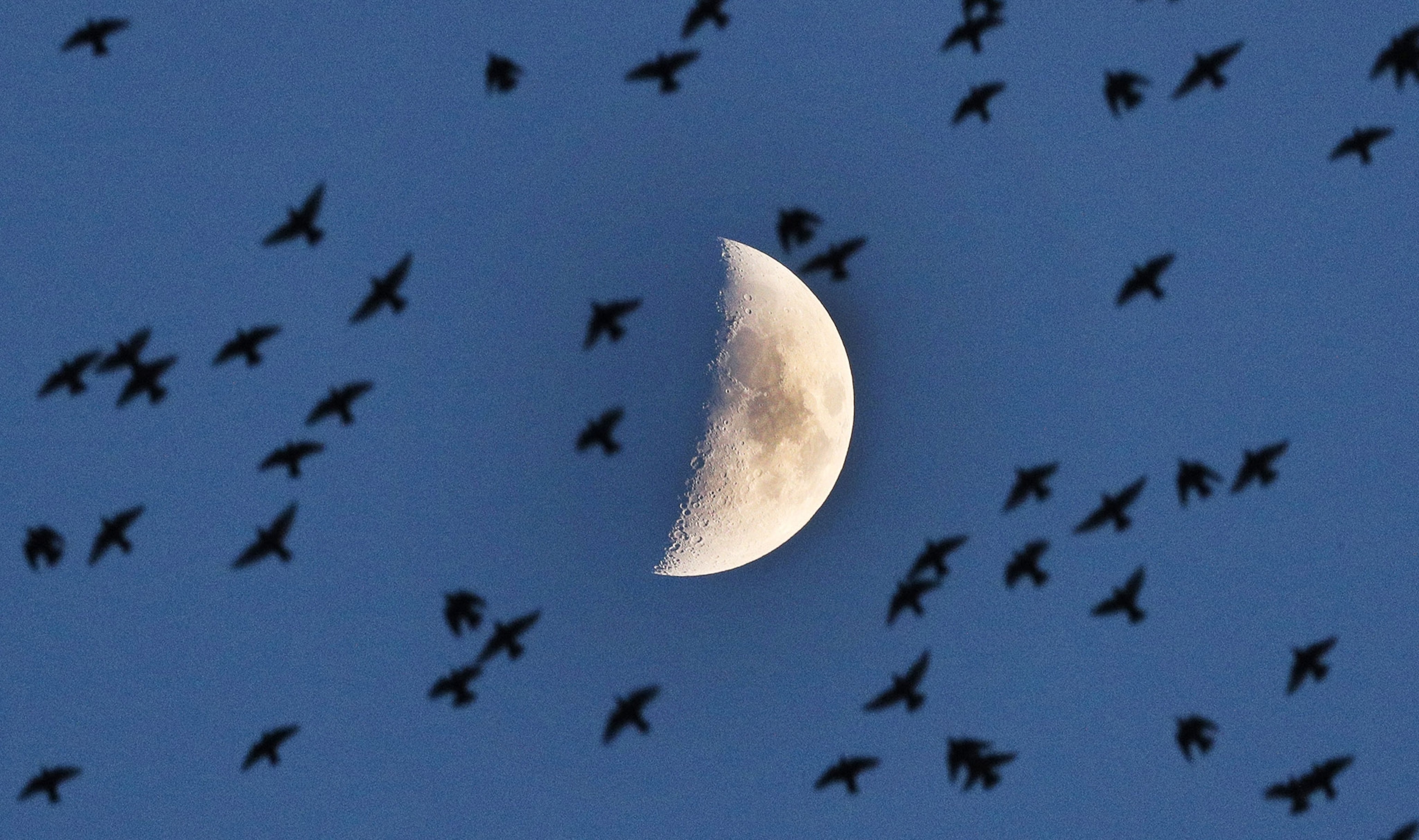 waxing crescent.