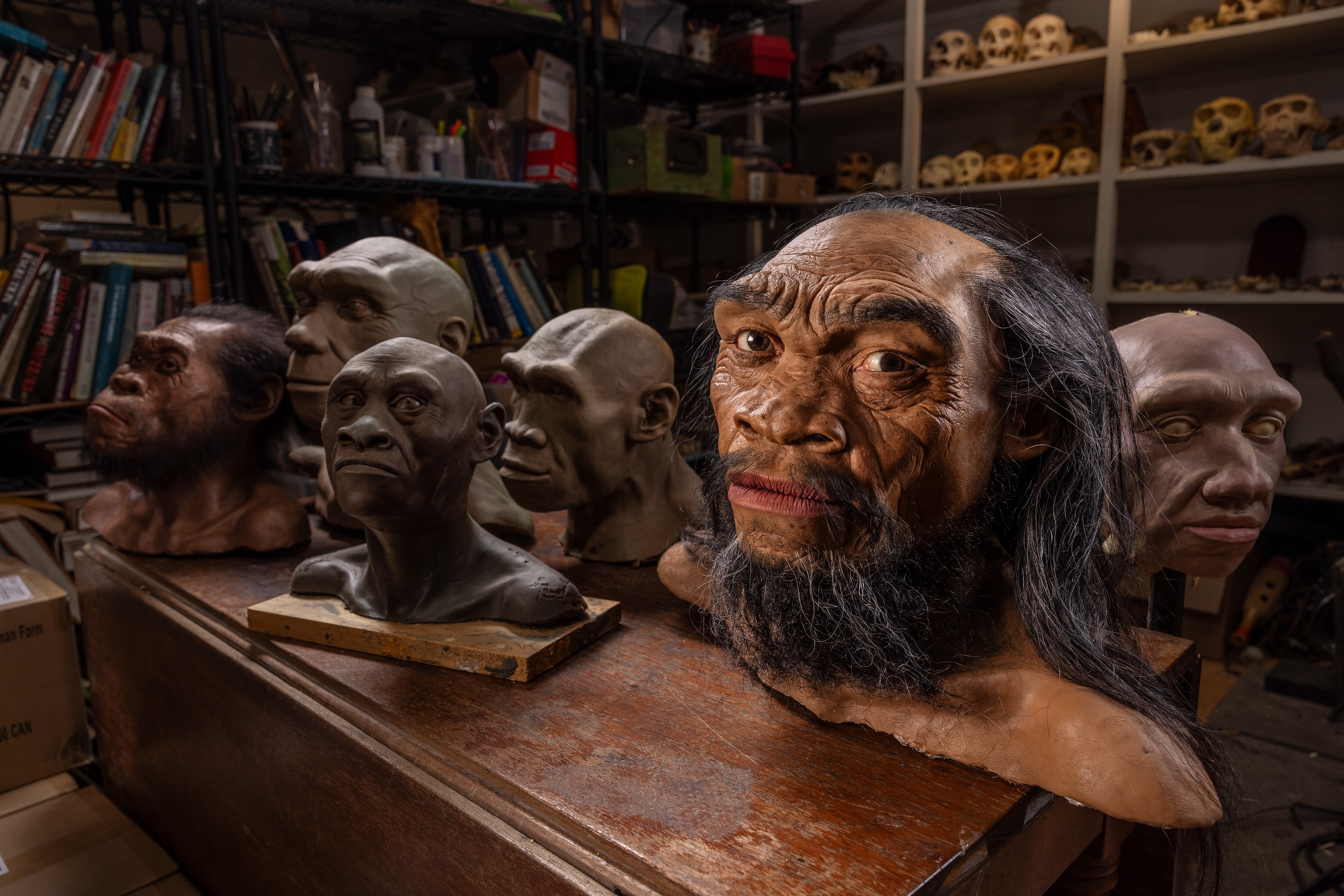 A collection of facial reconstruction busts sit on a table.