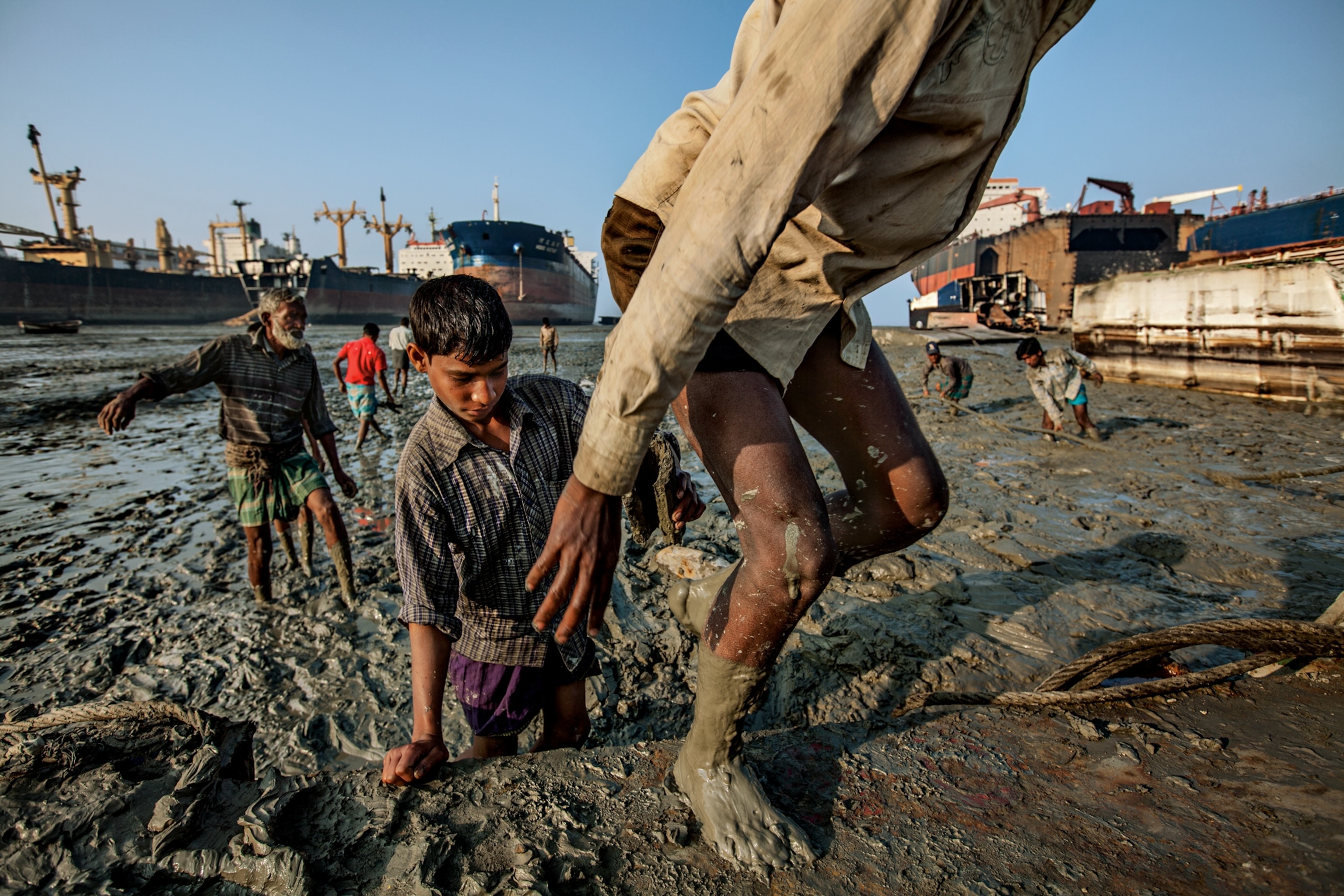carriers slathered in mud