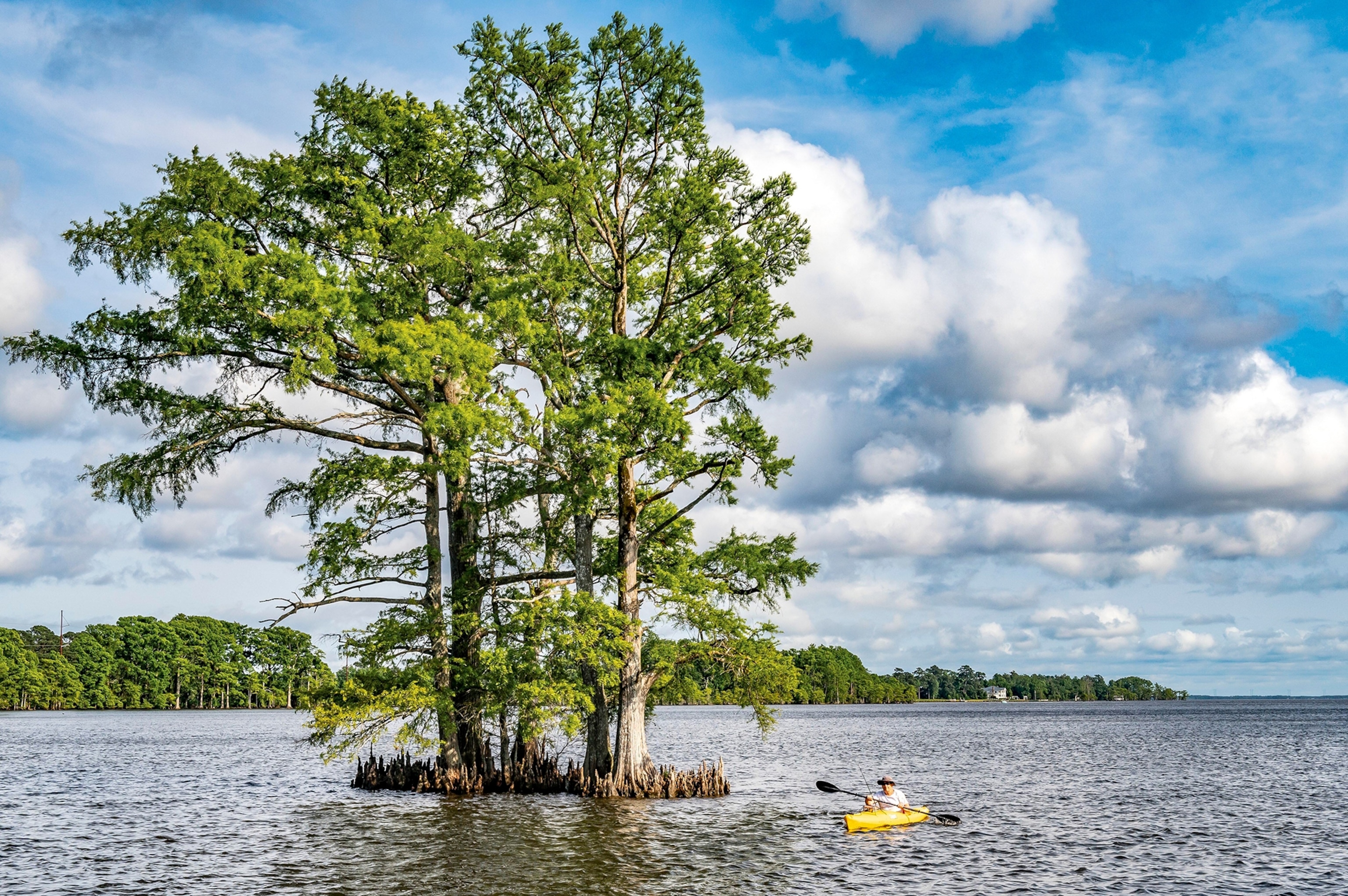 An image of a man on the water canoeing .