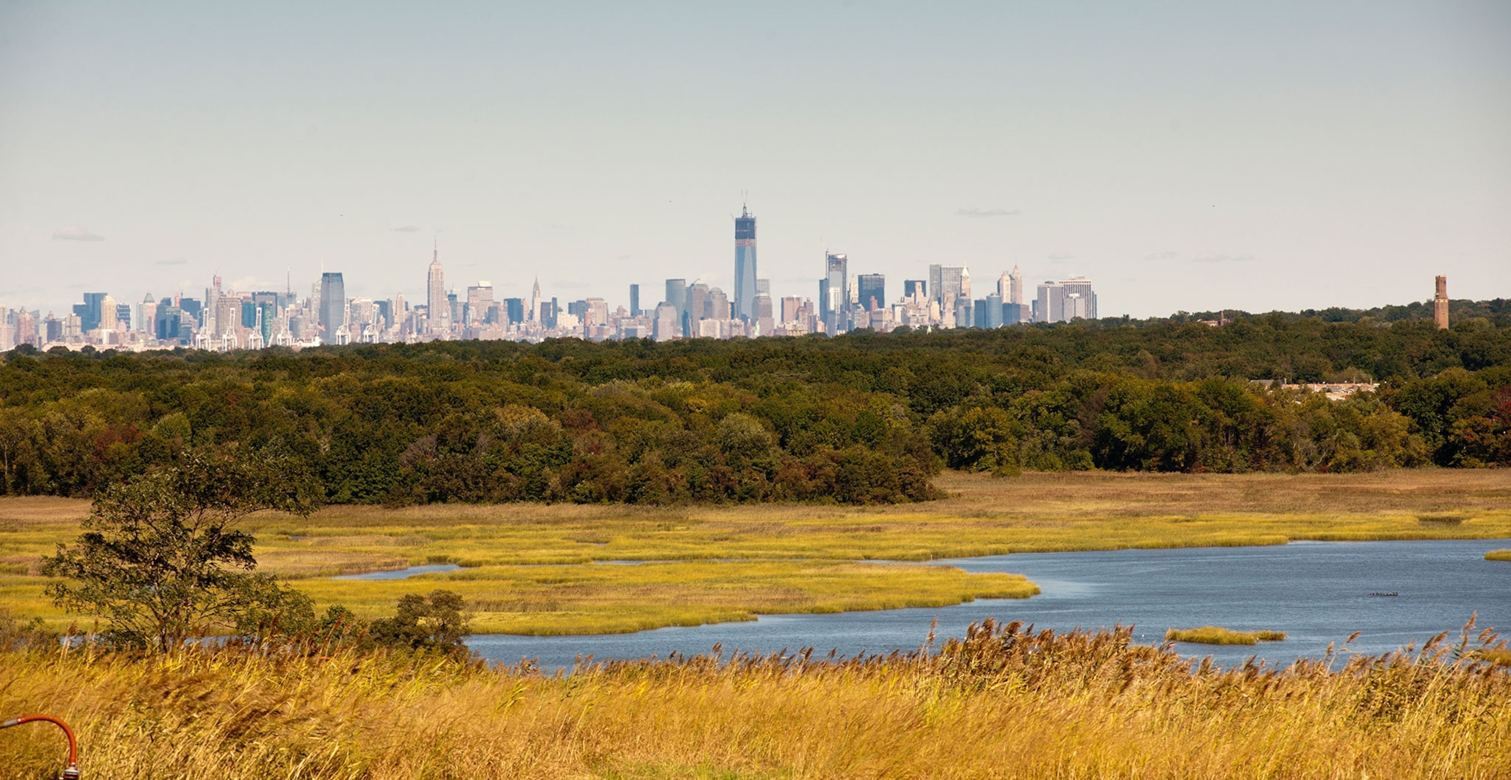A park with water and fall foliage sits in the foreground of the NYC skyline.