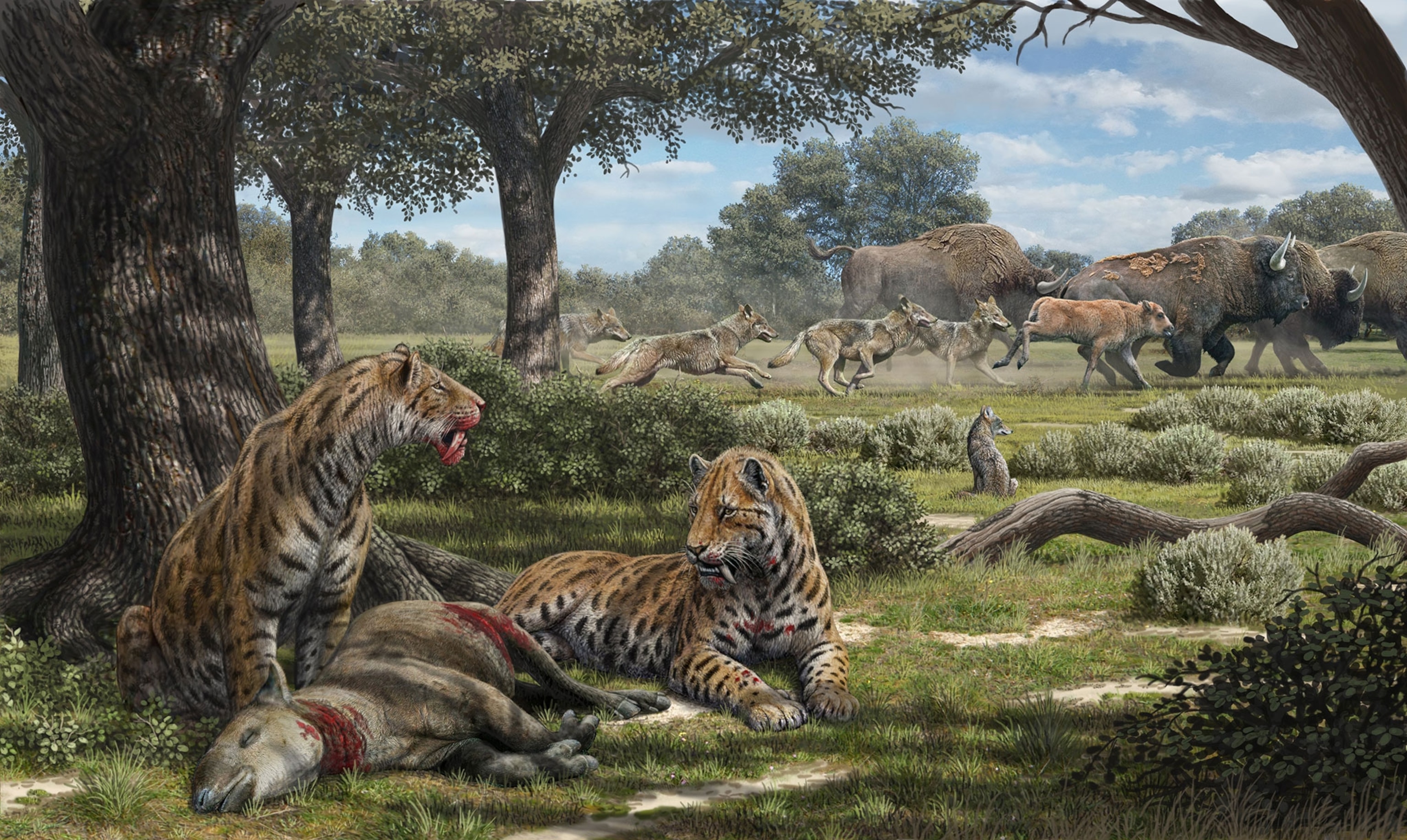 hunting