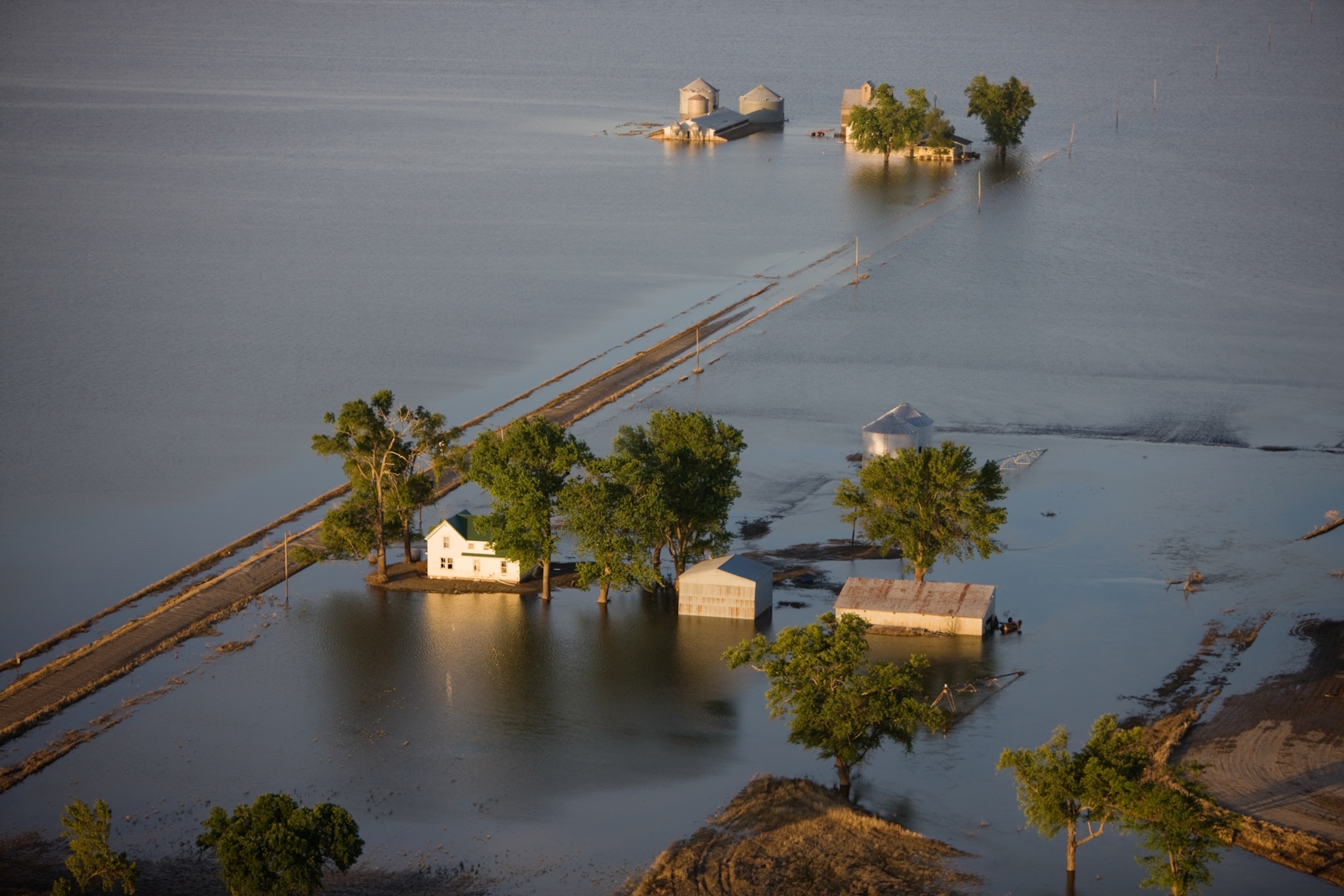Flooded crops from a broken Mississippi River levee