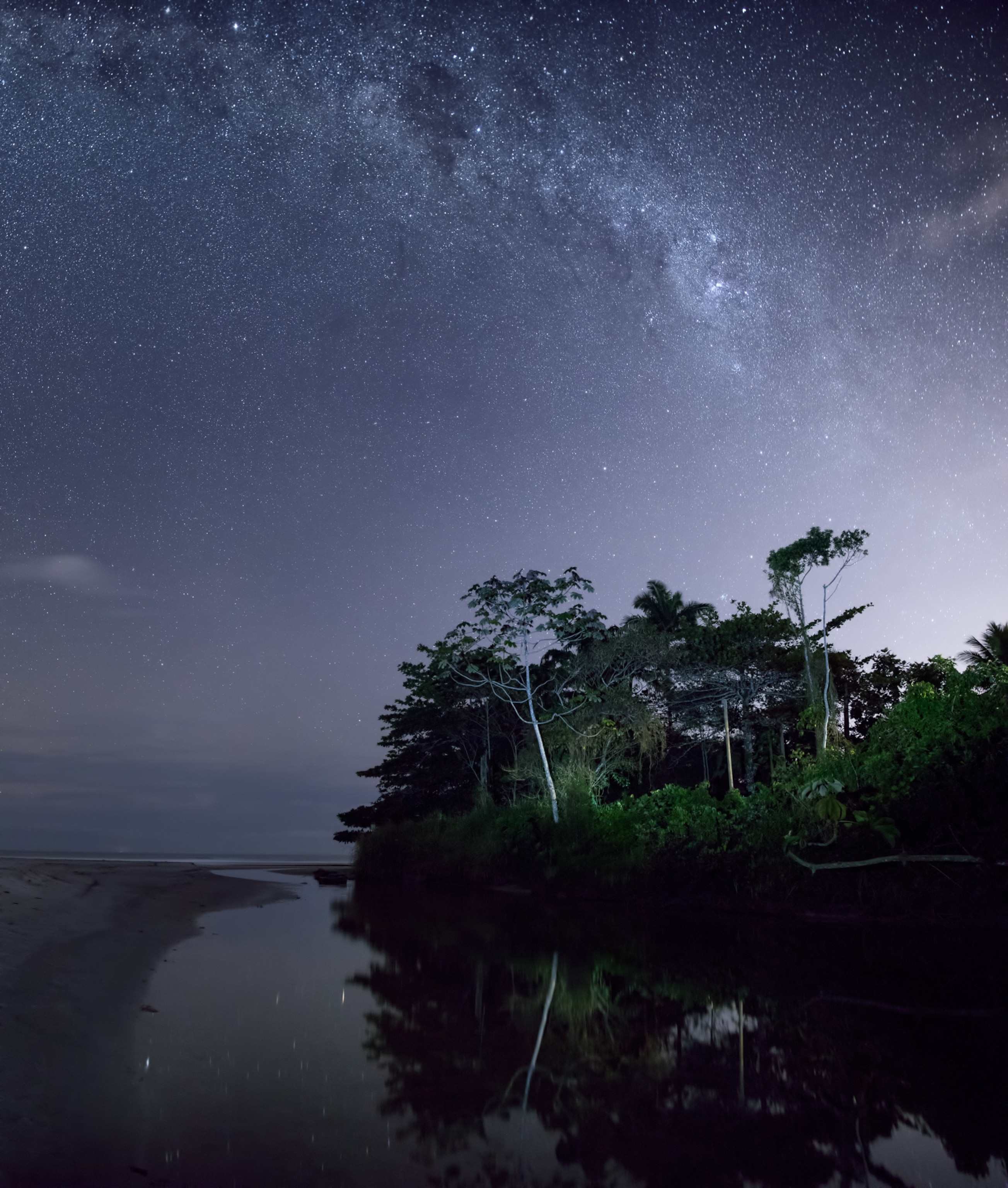 The Atlantic rainforest and jungle at night reflected in a river with the Milky Way visible.
