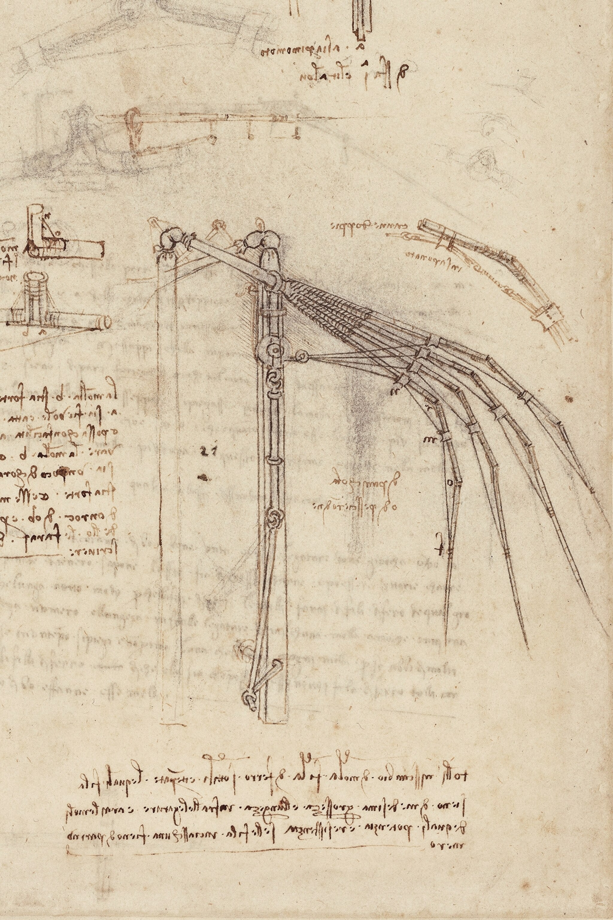 An illustration of old text and a mechanical bird wing