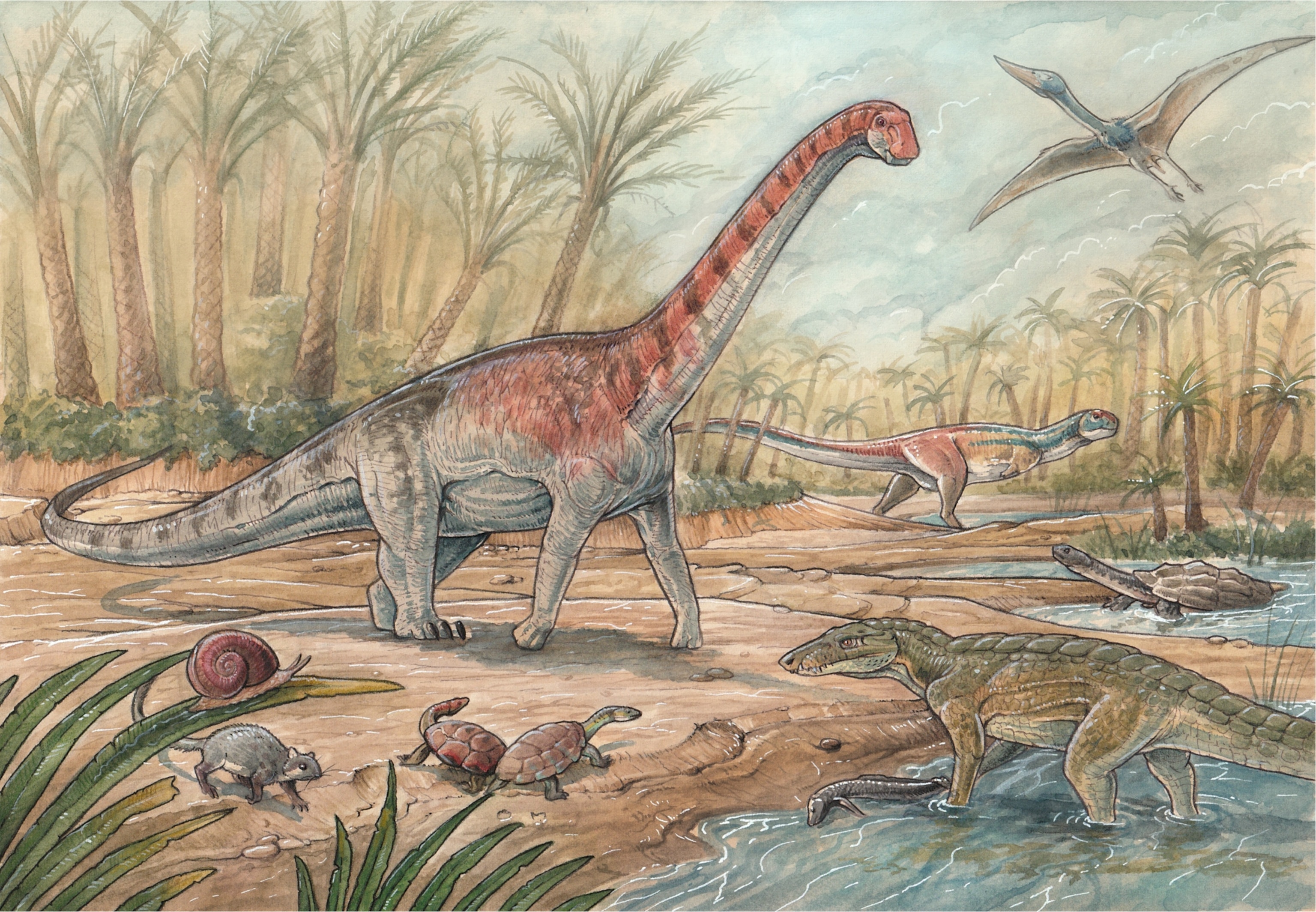 An illustration of a a prehistorical scene by a river in Patagonia, where a long-necked dinosaur is seen beside snails, tortoises, and a crocodile-like dinosaur.