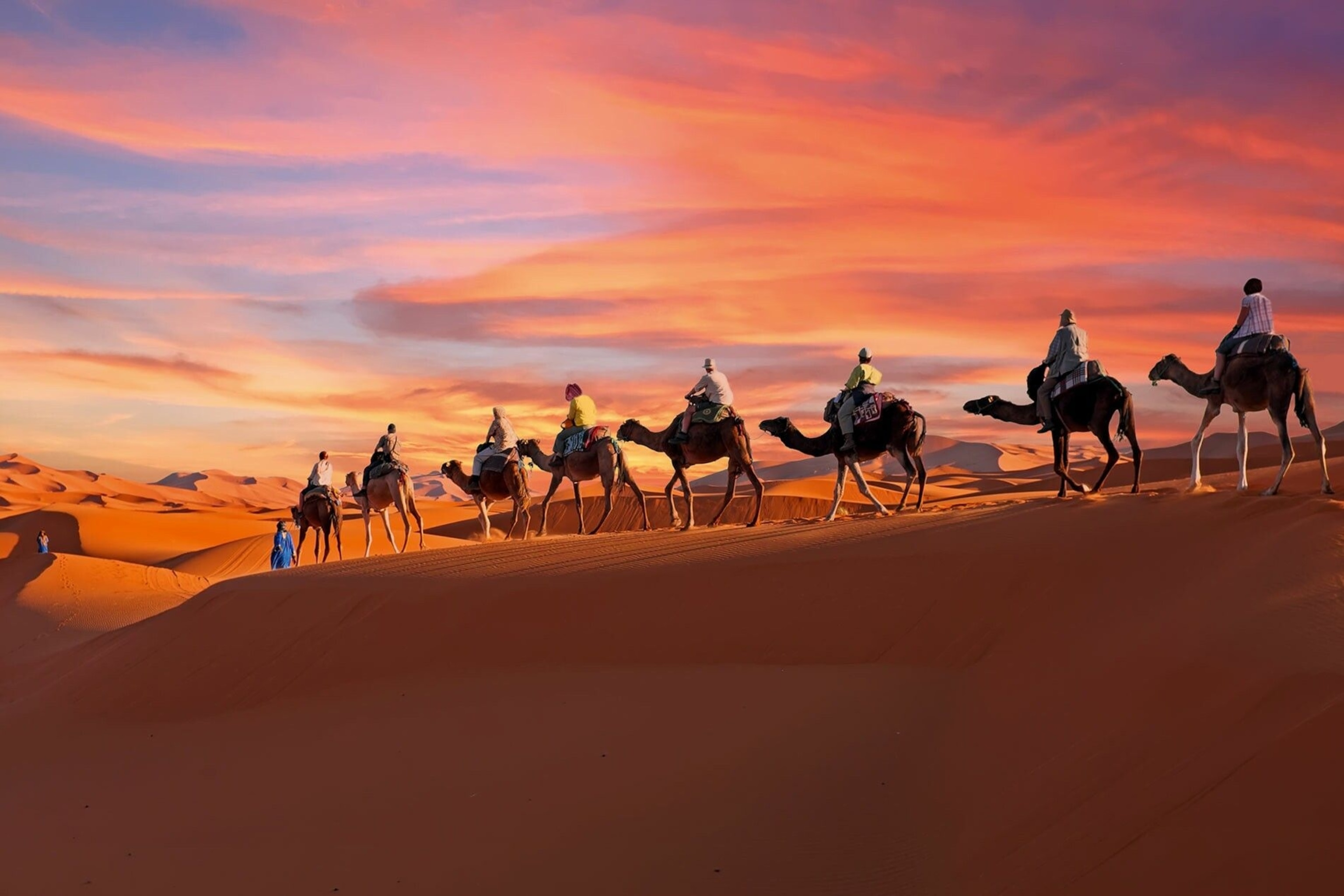 The Sahara Desert is like nowhere else on earth, from its sand sea the size of a small European country to its perfectly sculpted, wind-whipped dunes