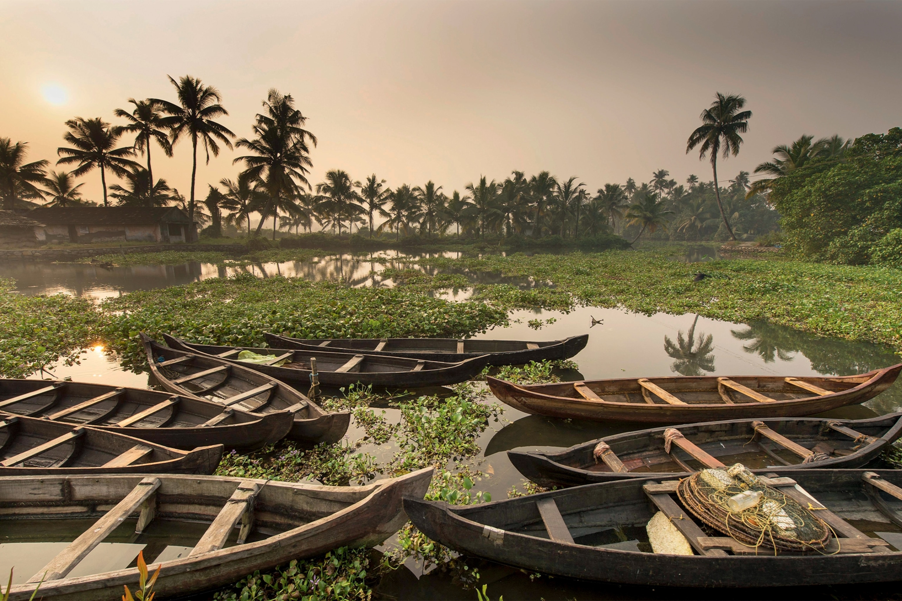 Kerala backwaters