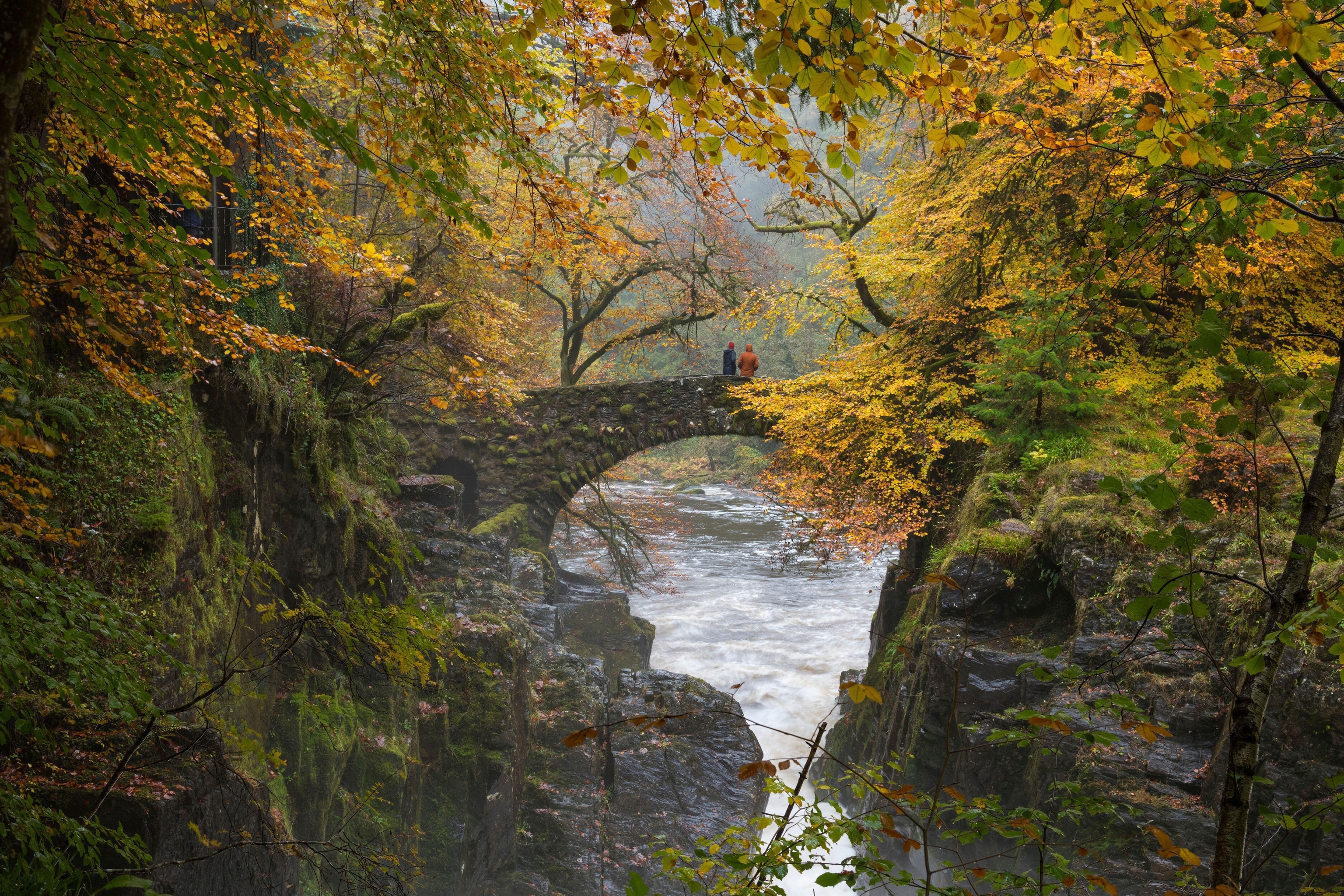 Bridge over a rushing river, featuring 2 people on a walk and autumn hued trees