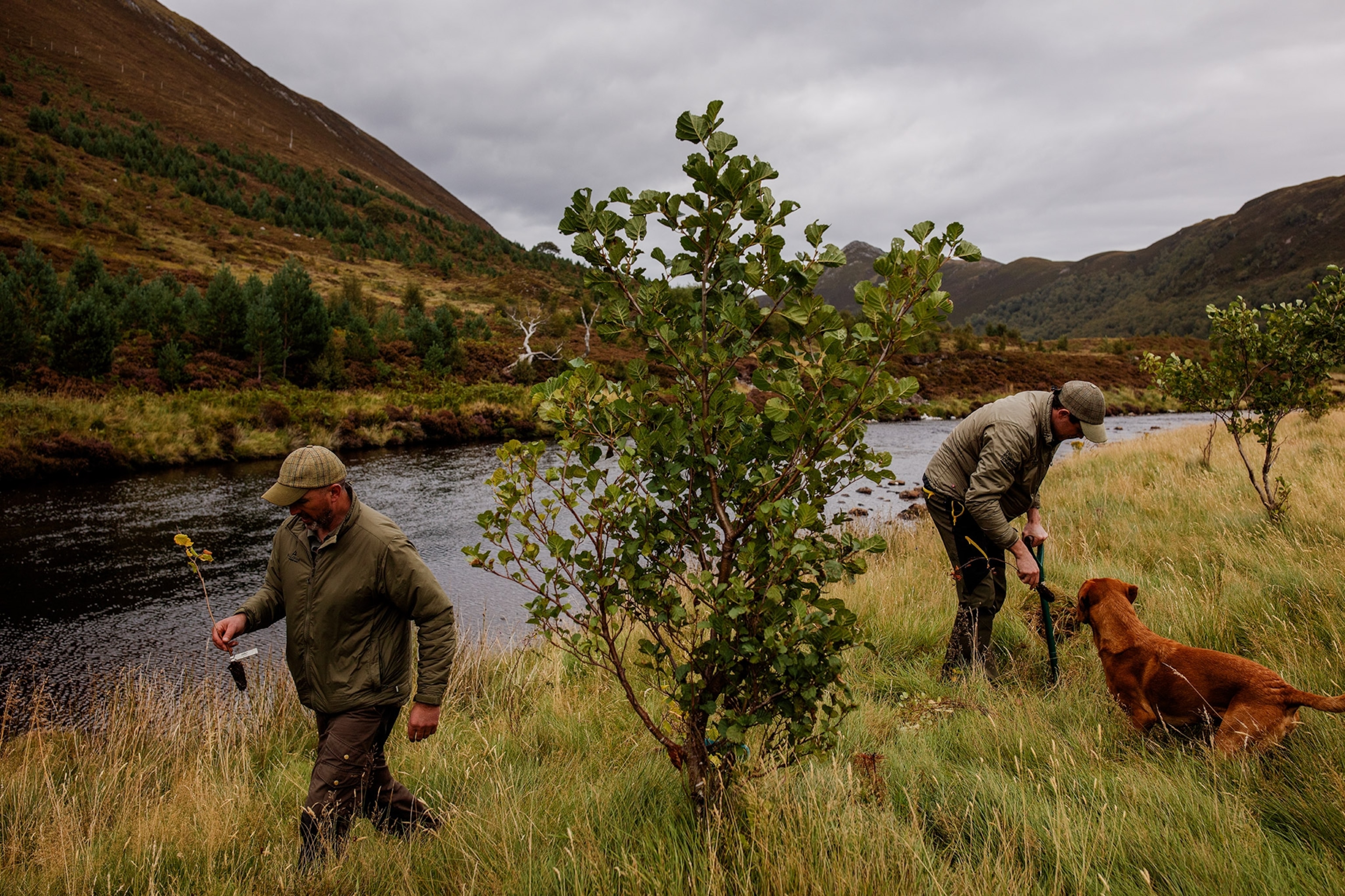 Reserve manager Manager Innes MacNeil and Ranger Ryan Munro plant trees in Glen Mor on the banks of the river Abhainn a' Ghlinne Mhoir