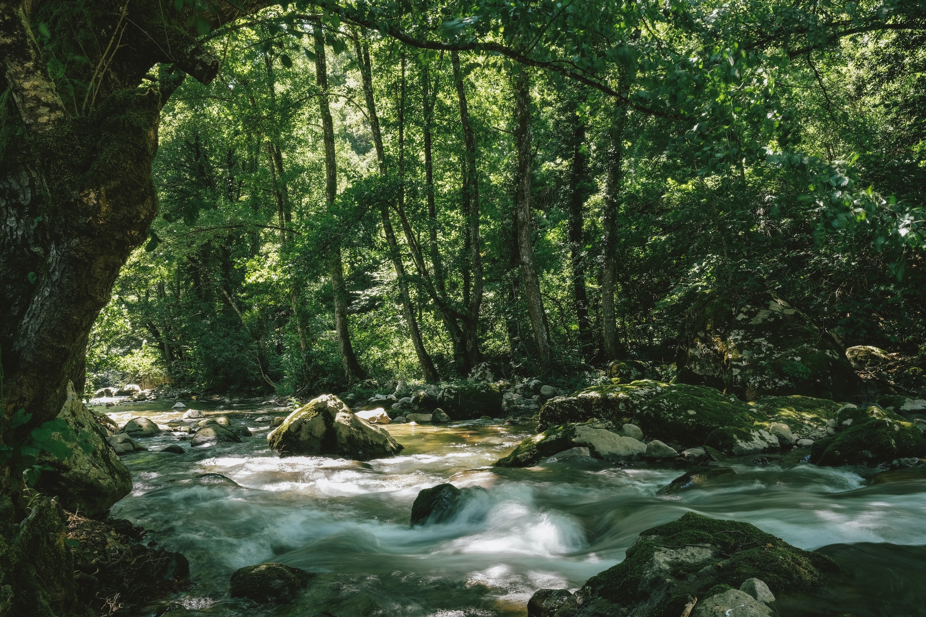 The Neretvica River, a tributary of the Neretva in southern Bosnia & Herzegovina. A series of 15 small hydropower dams were approved on the river by the local municipality of Konjic, which ignited a massive protest movement by communities along the small river.