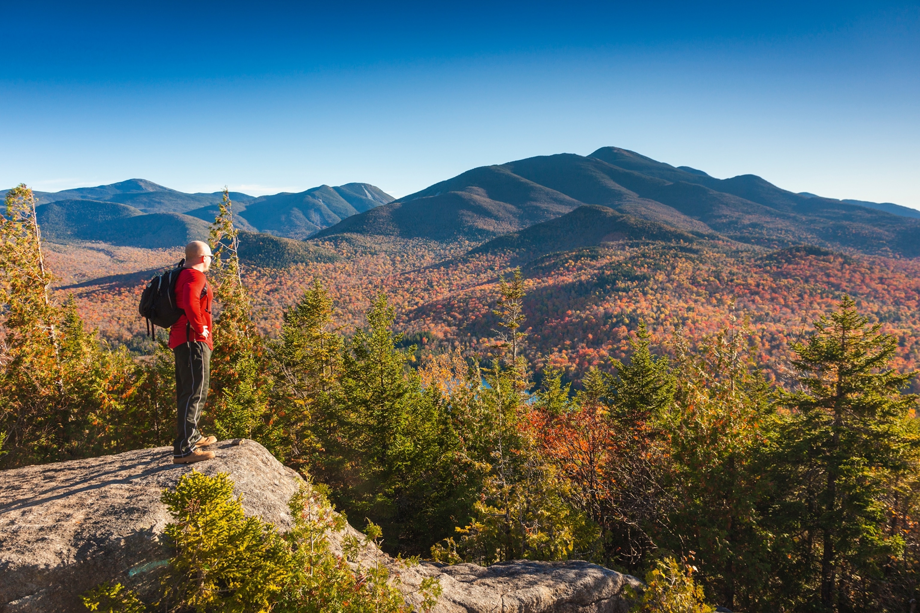 An elderly man looking into a forest and mountainous valley from a high viewpoint.