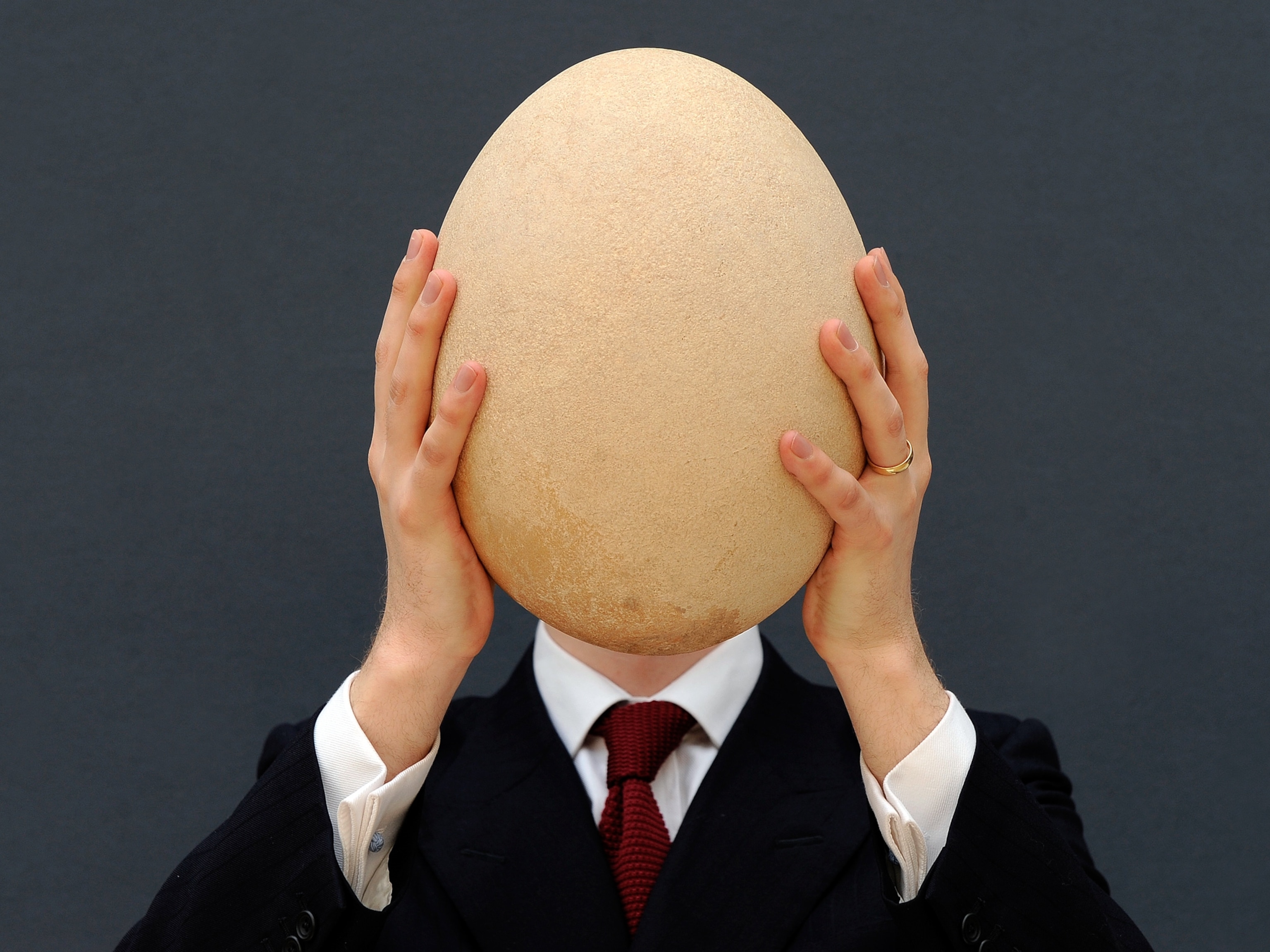 An auction specialist holds up an elephant bird egg.