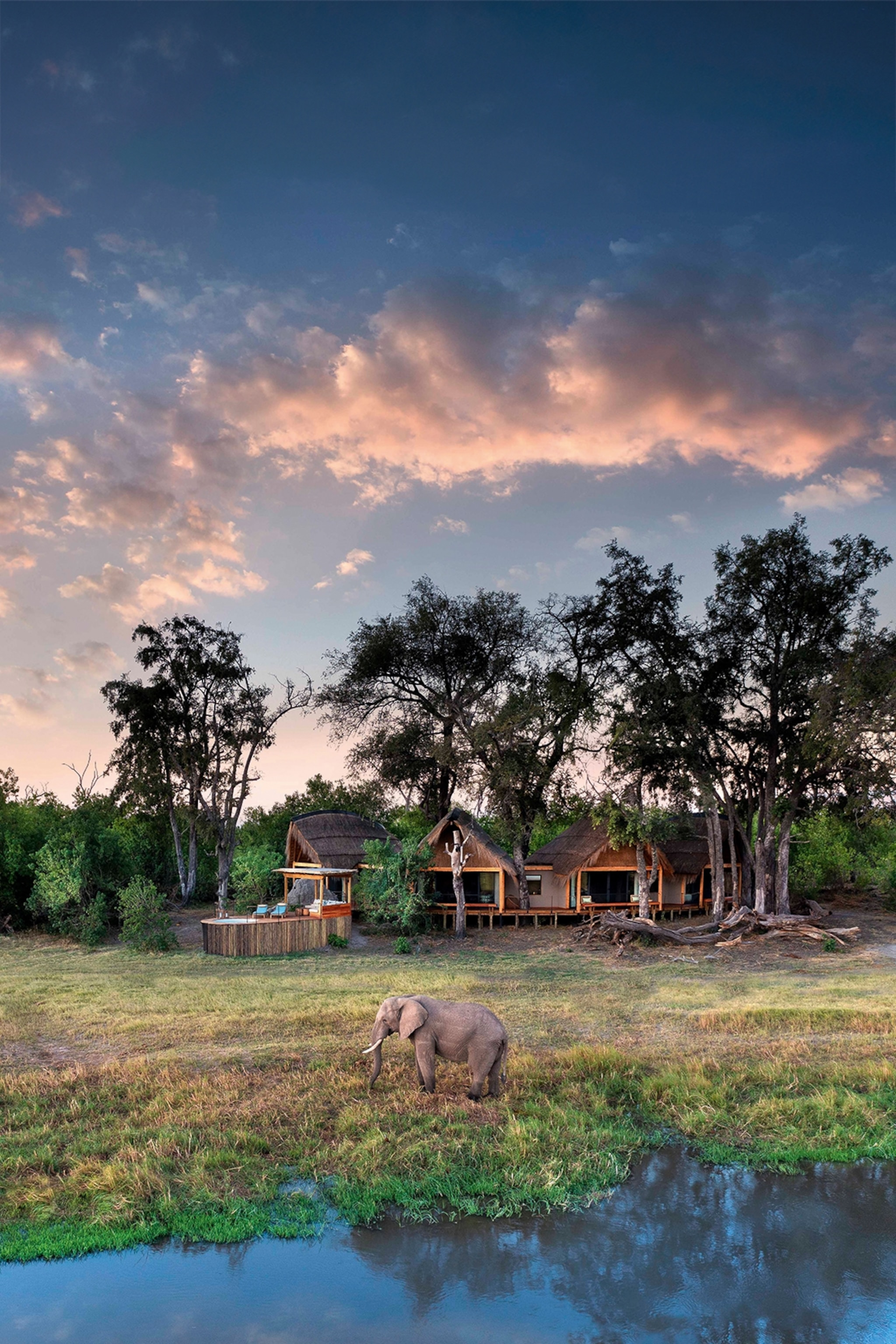 Elephant standing in front of wooden lodges surrounded by grassland