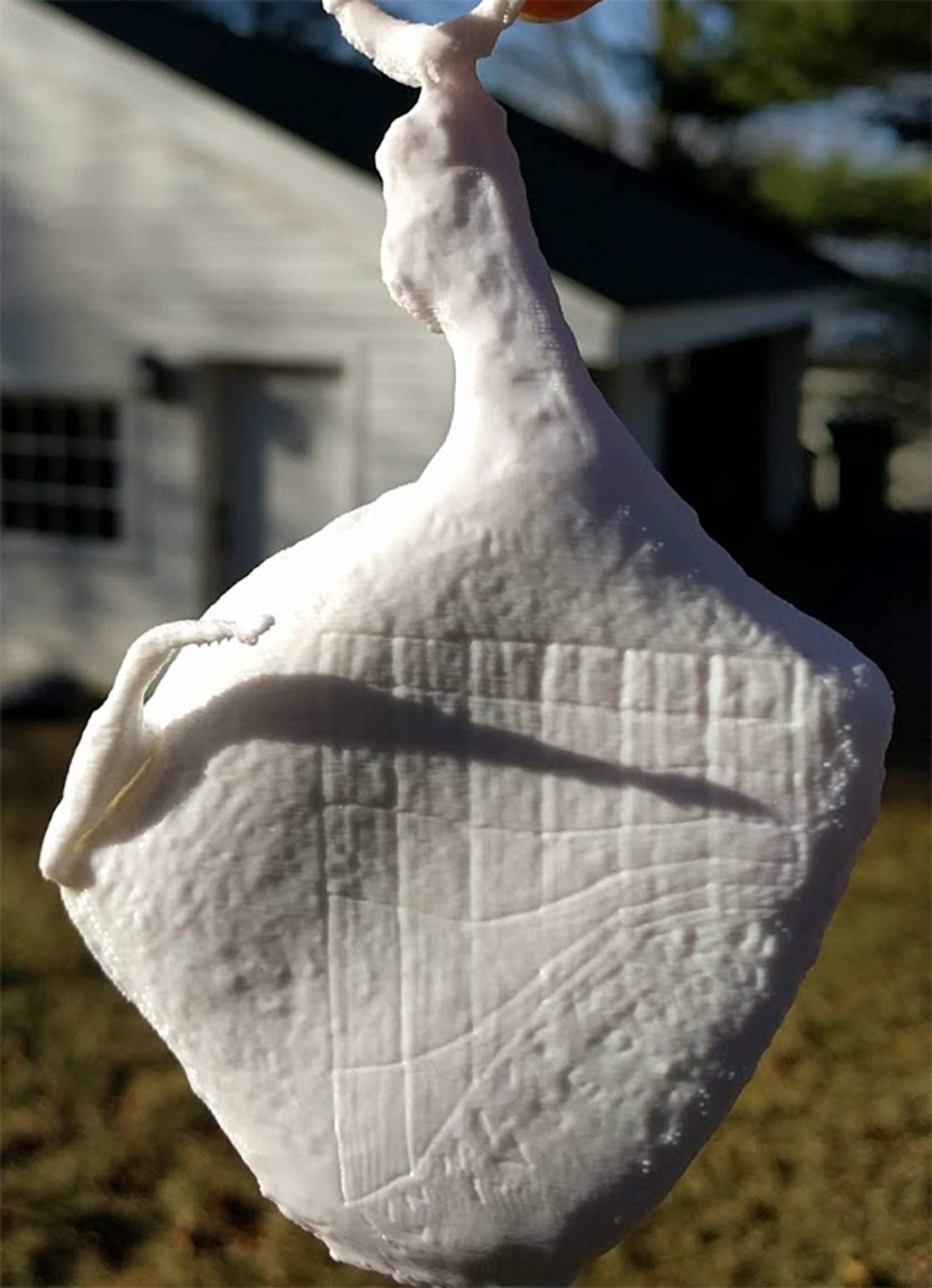 white 3-D model resembling a pork leg