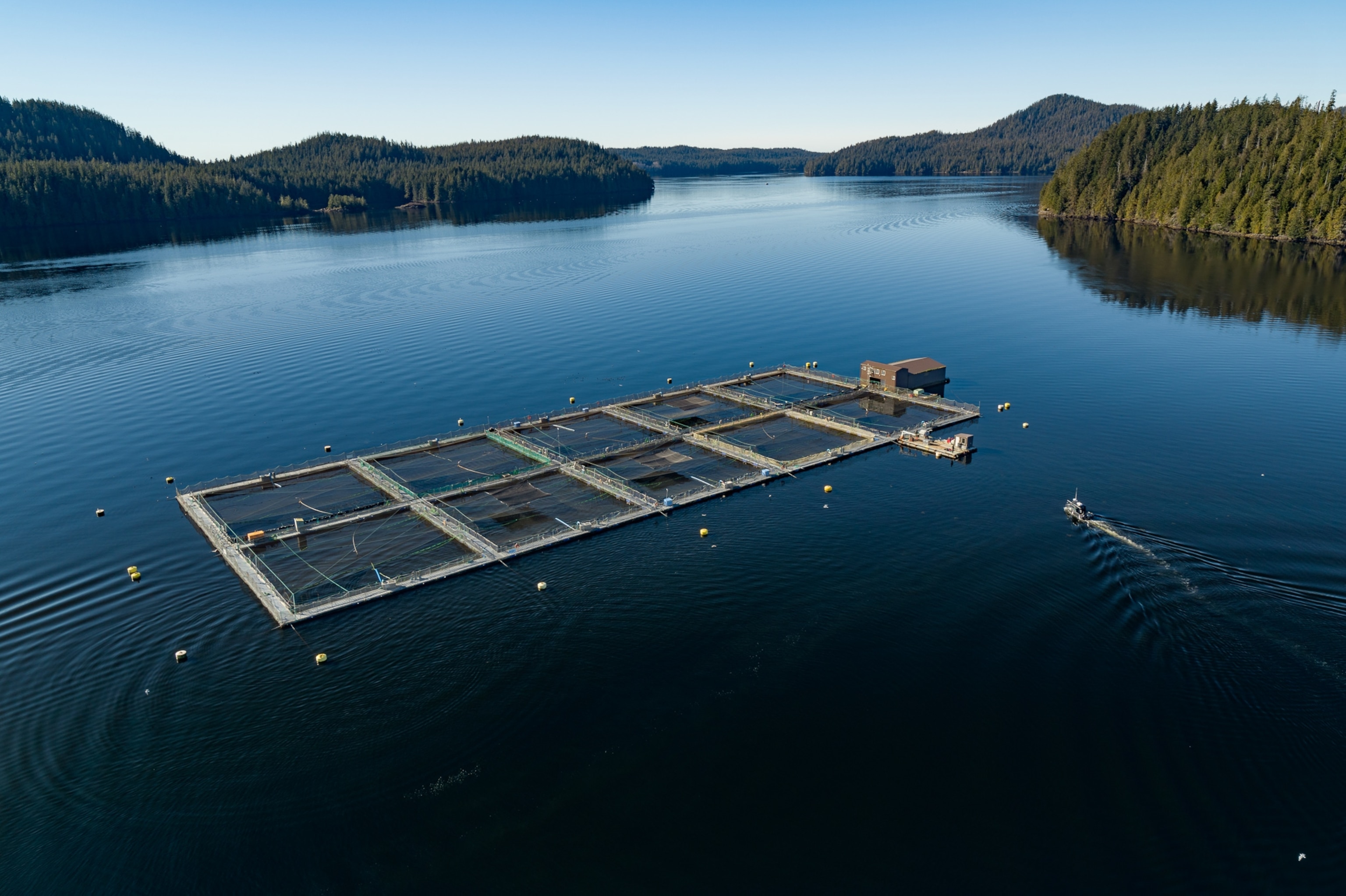 Ariel view of a salmon farm