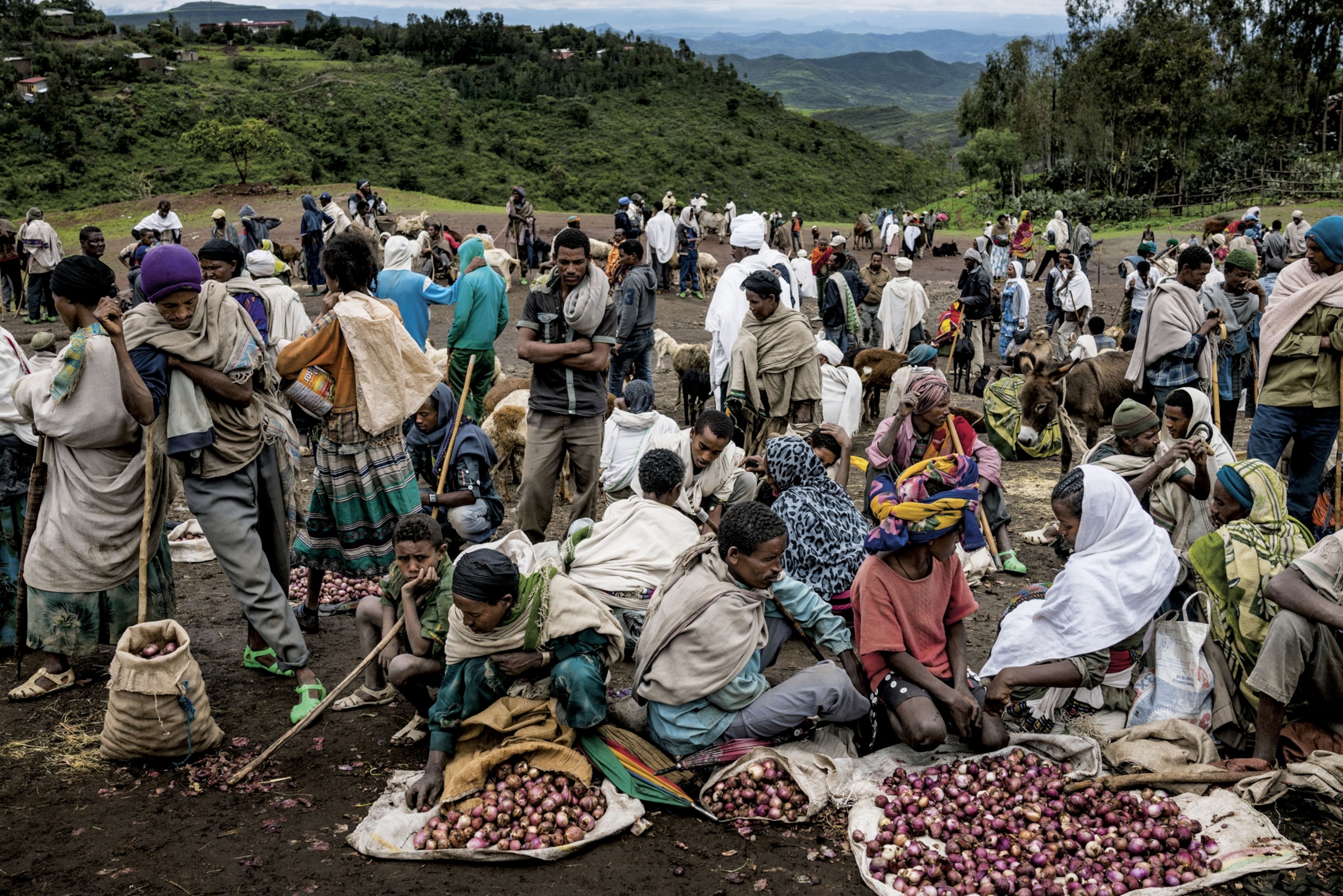 a produce market in the northern Ethiopian highlands
