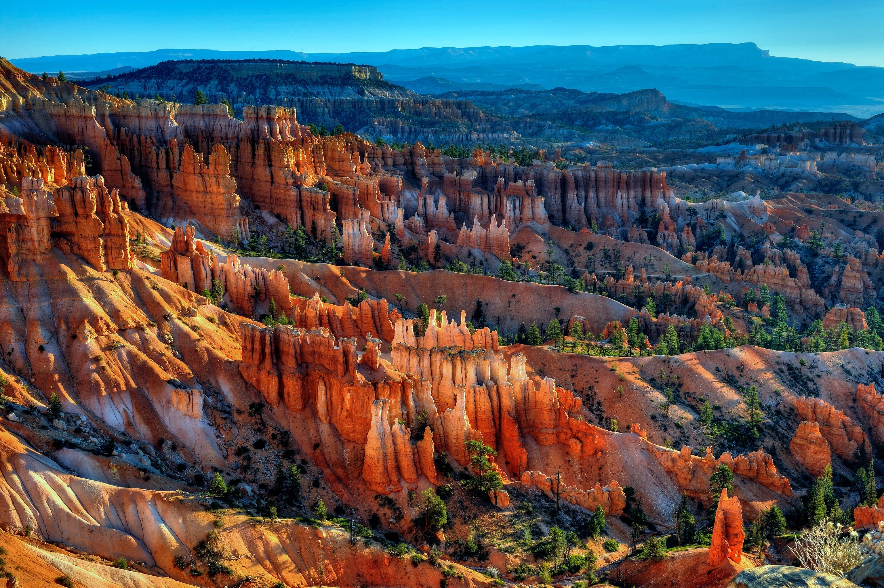 canyon national park