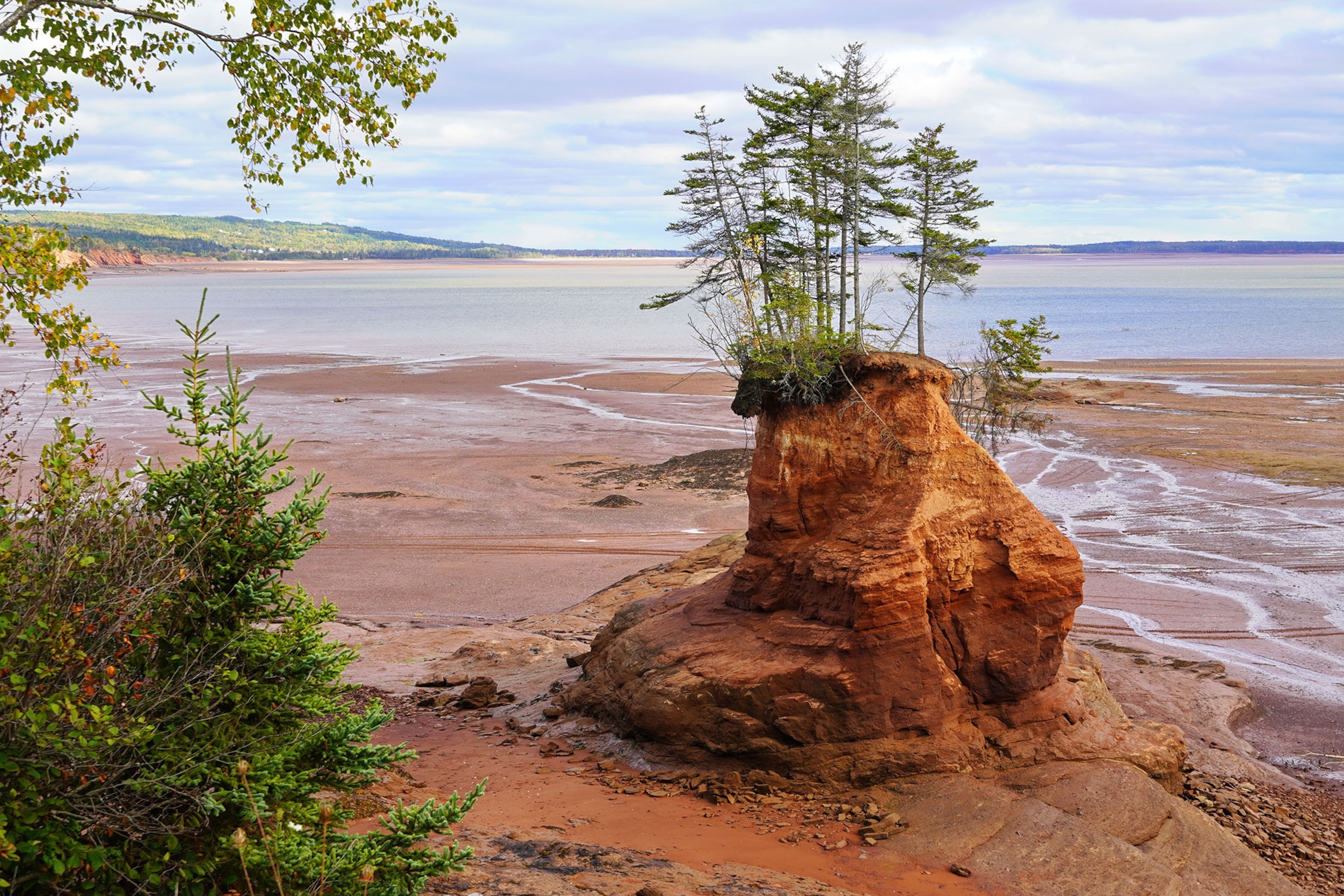 Flower Pot rocks, Soley Cove, Five Islands area, Nova Scotia, Canada, Cobequid Bay, Bay of Fundy; Ocean tides