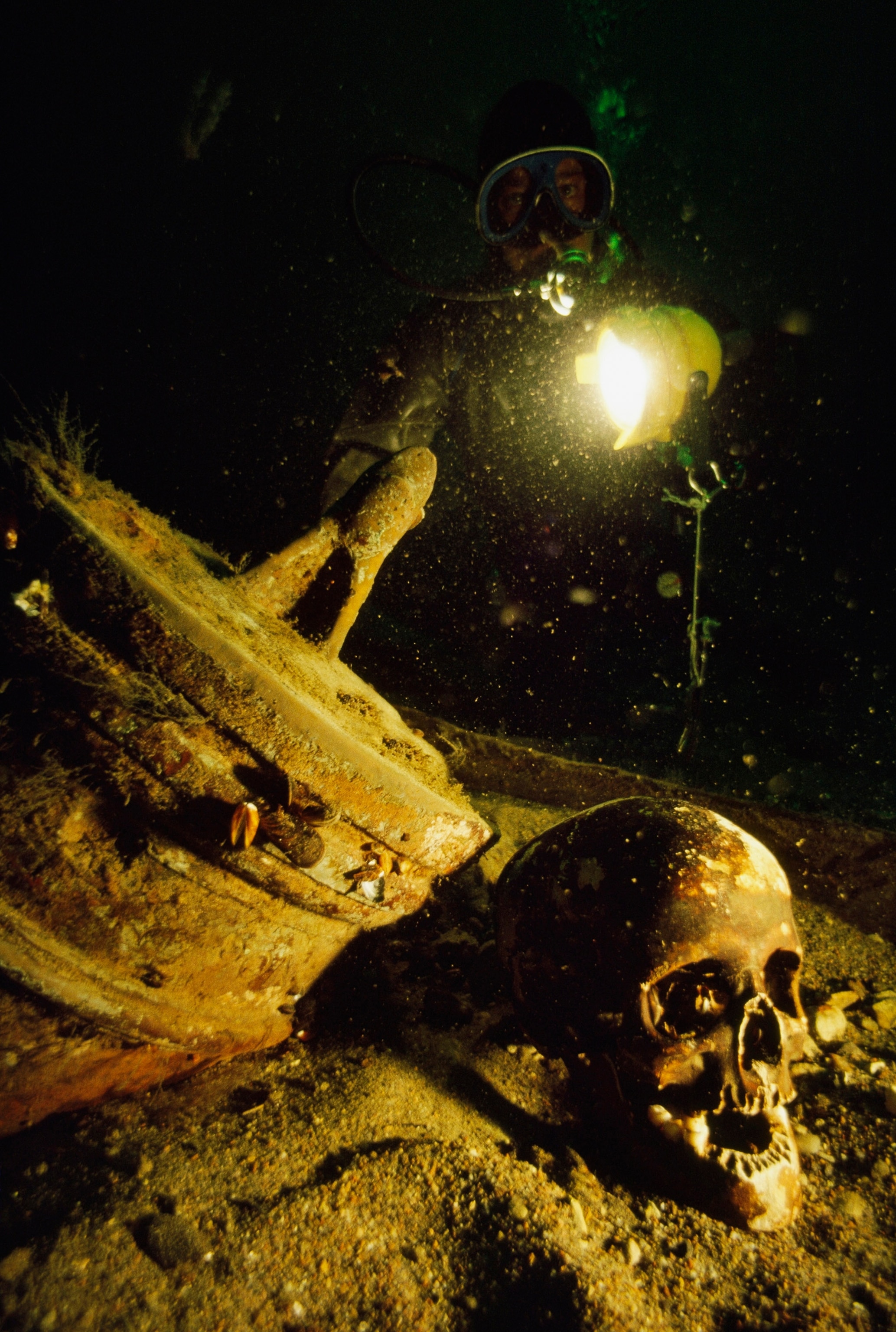 a skull at a shipwreck in the Baltic Sea