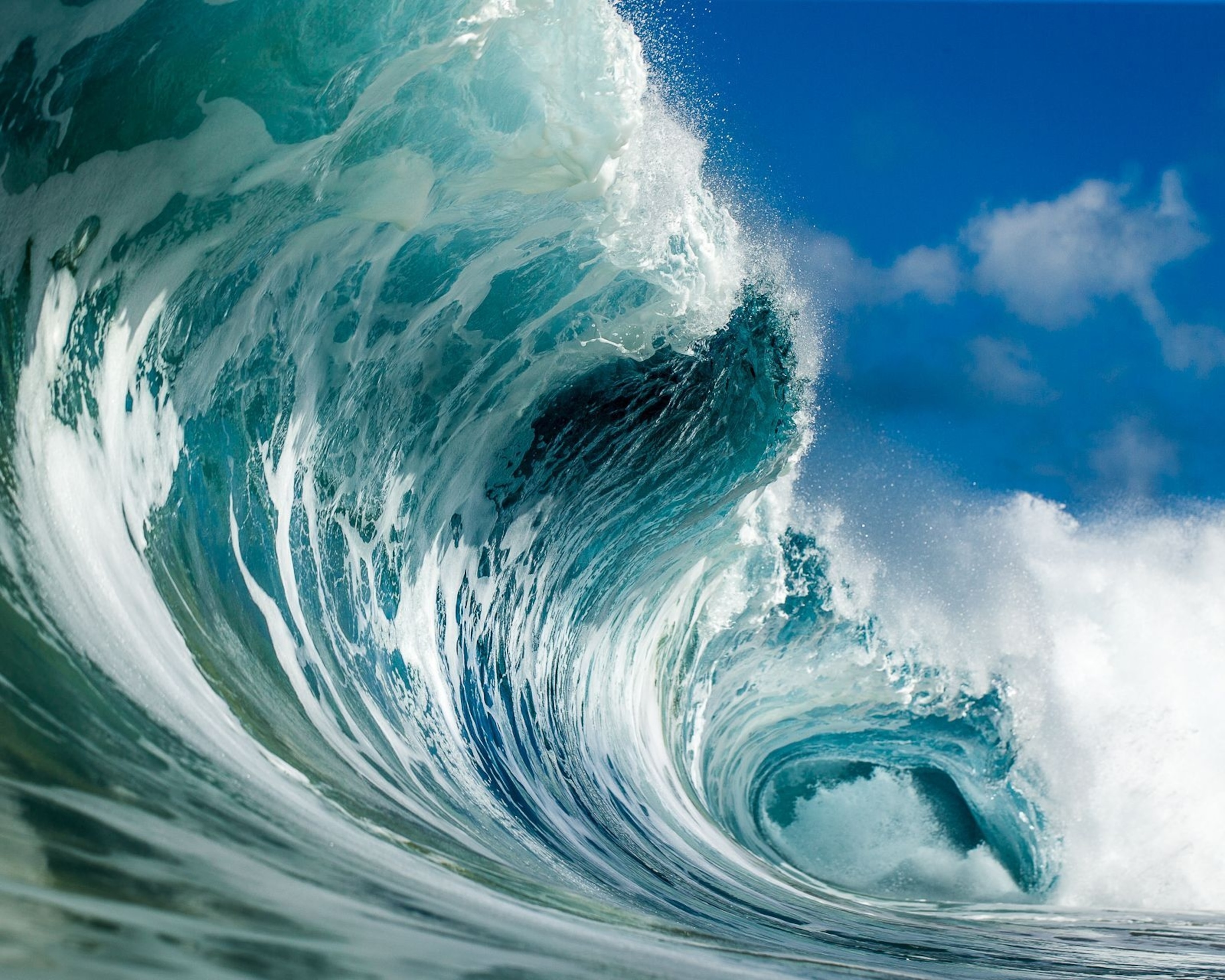 epic wave in ocean