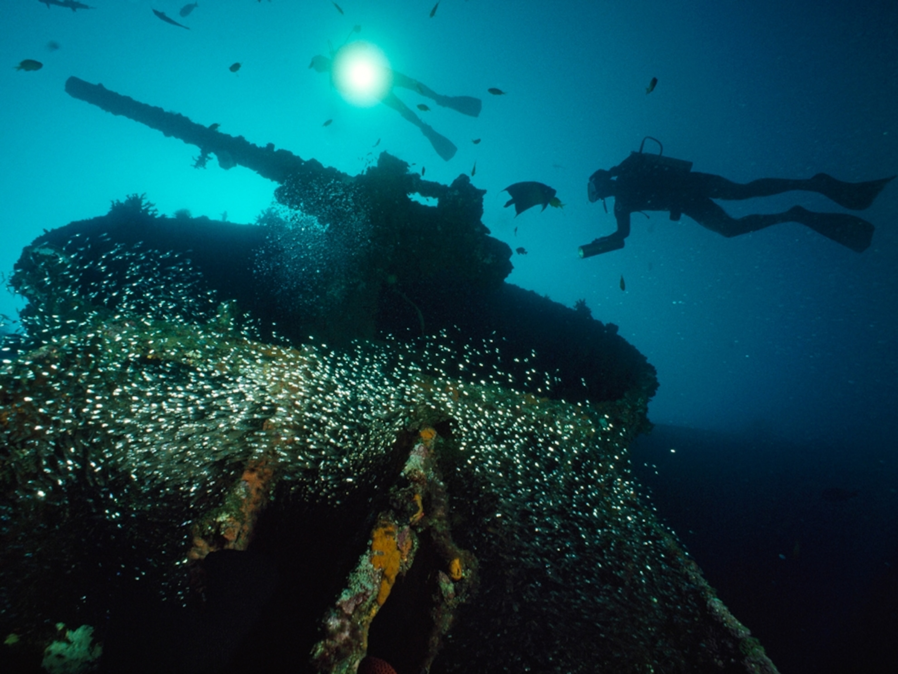 Divers over sunken guntub