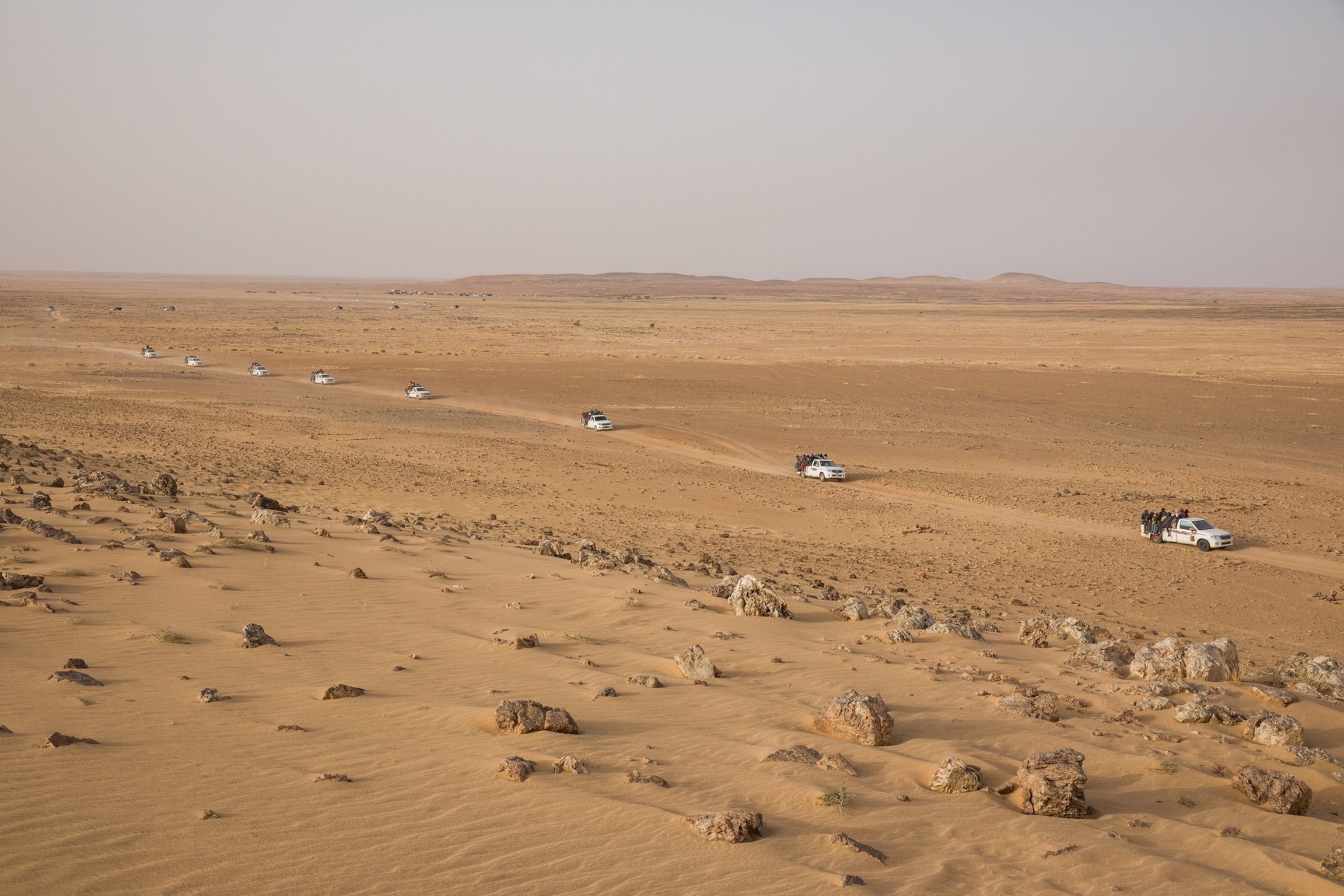 white trucks driving through an open desert