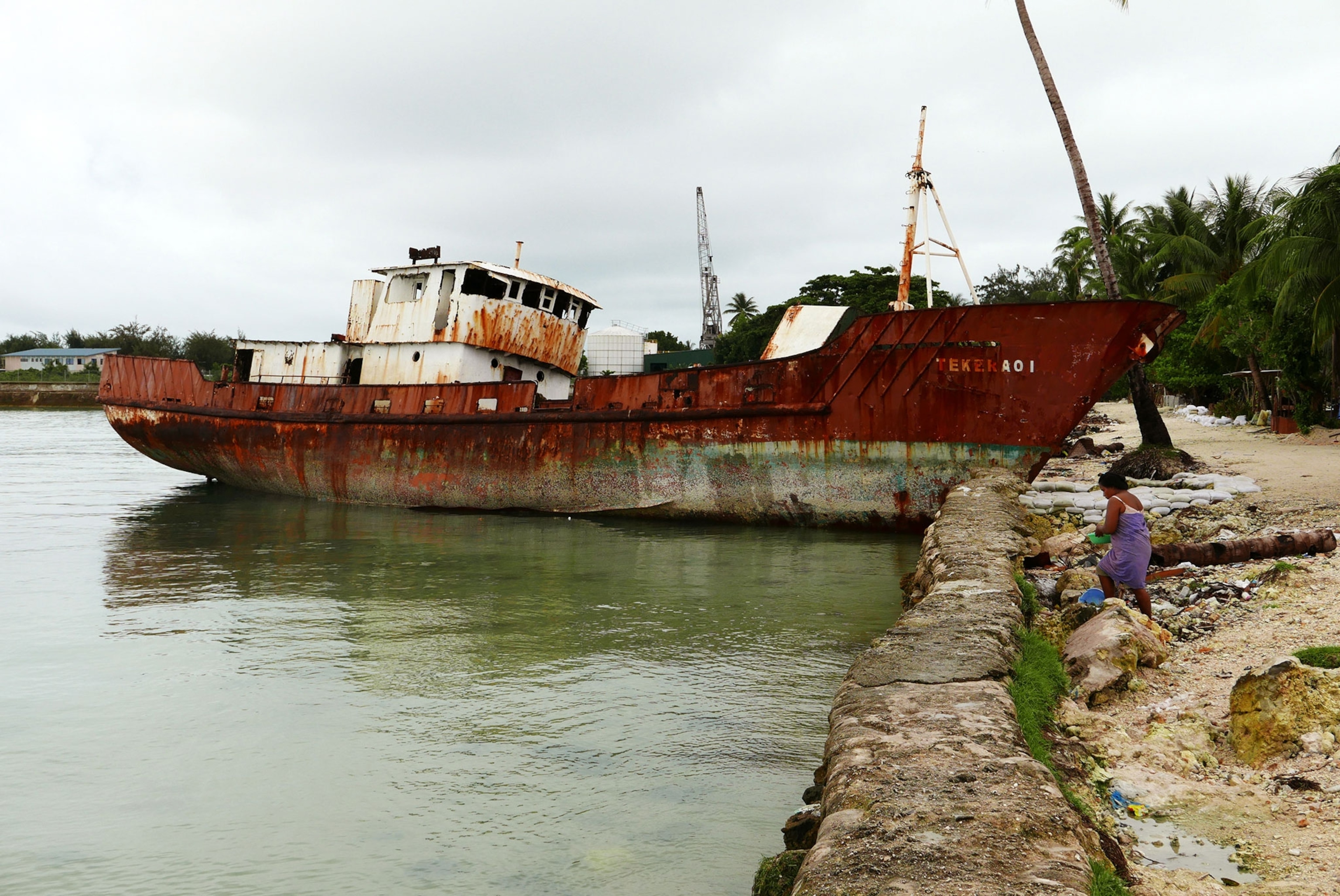 ship strike
