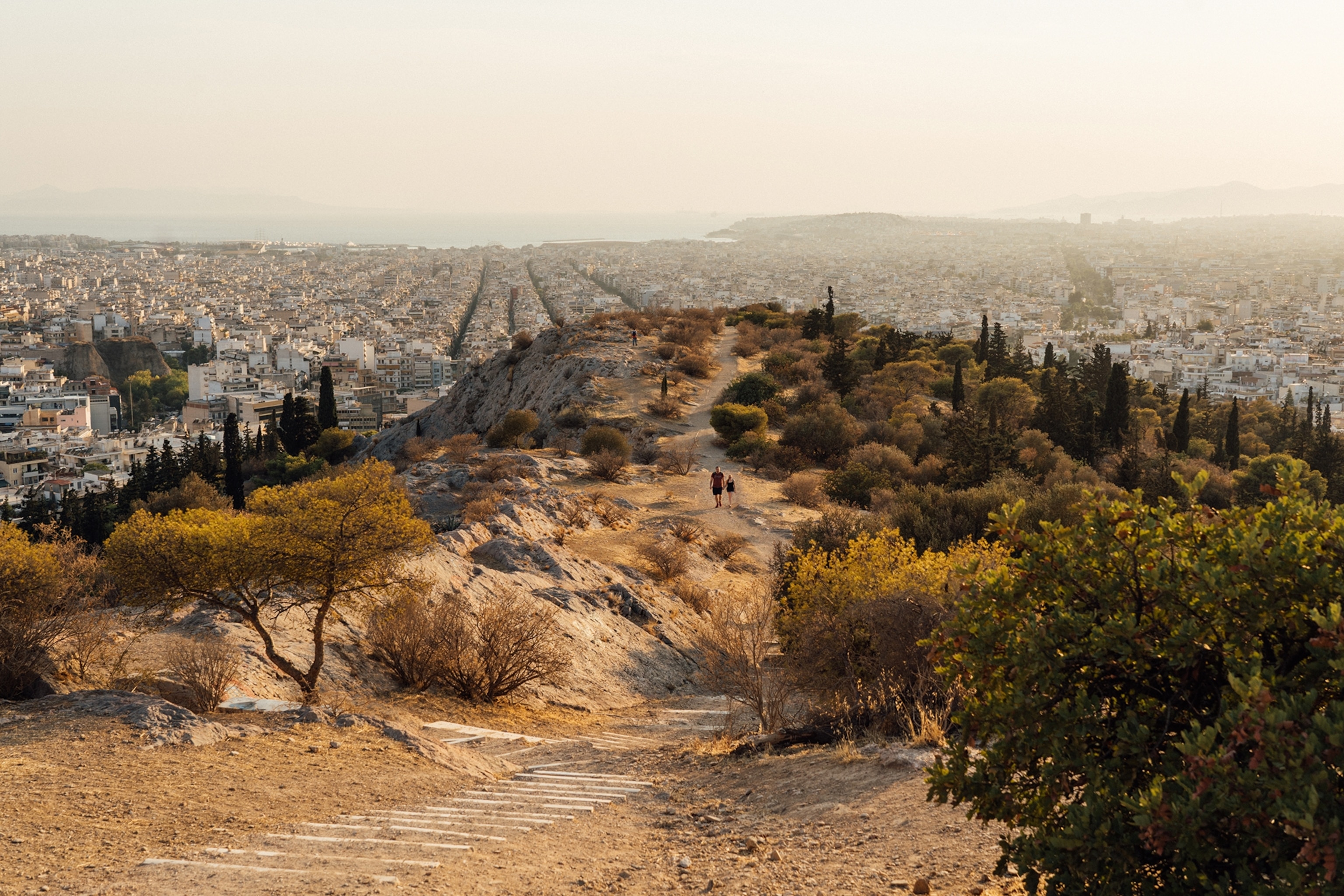 View overlooking a barren hill of dirt and trees with the backdrop of a city and the sea behind