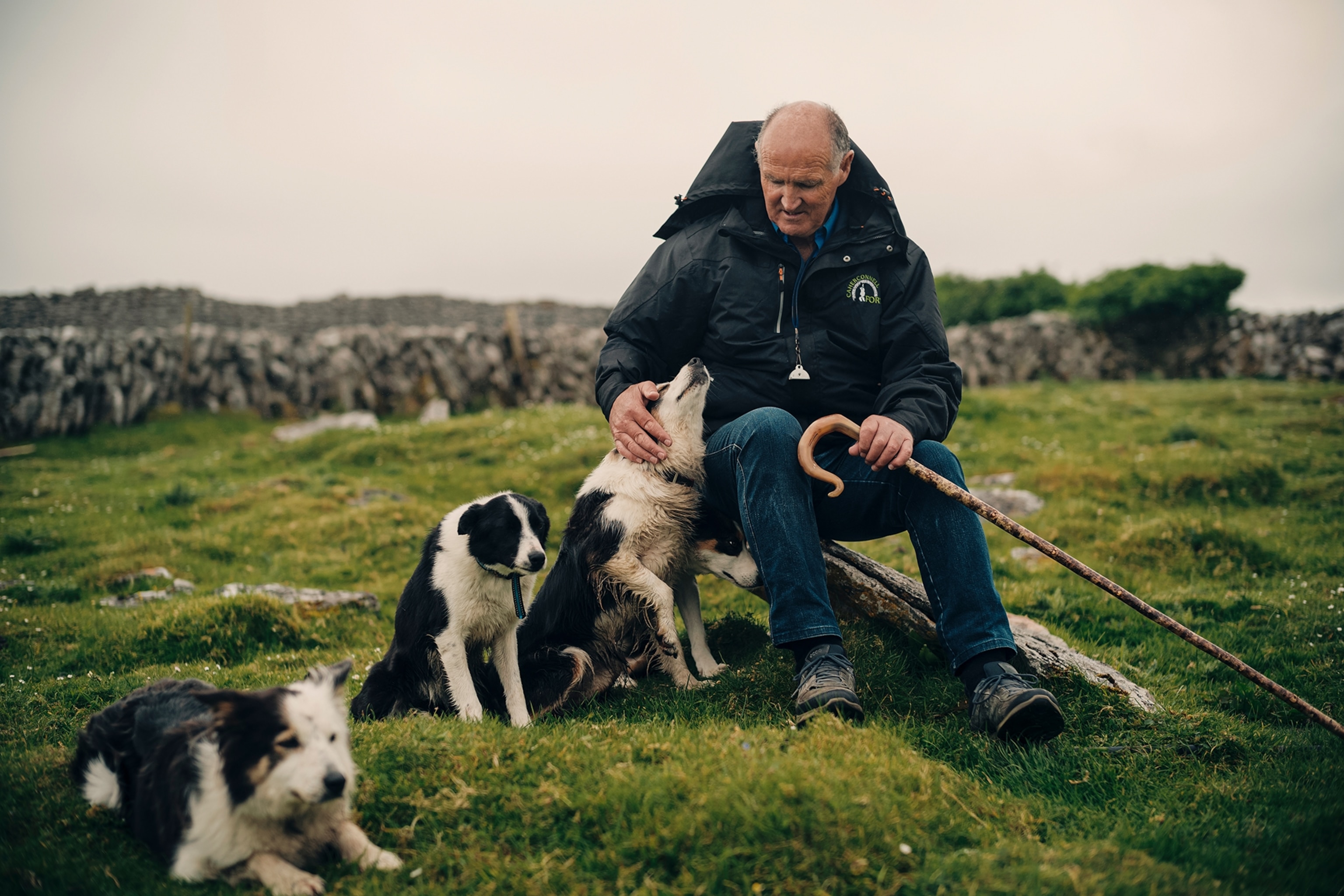 Shepherd petting a dog in a field