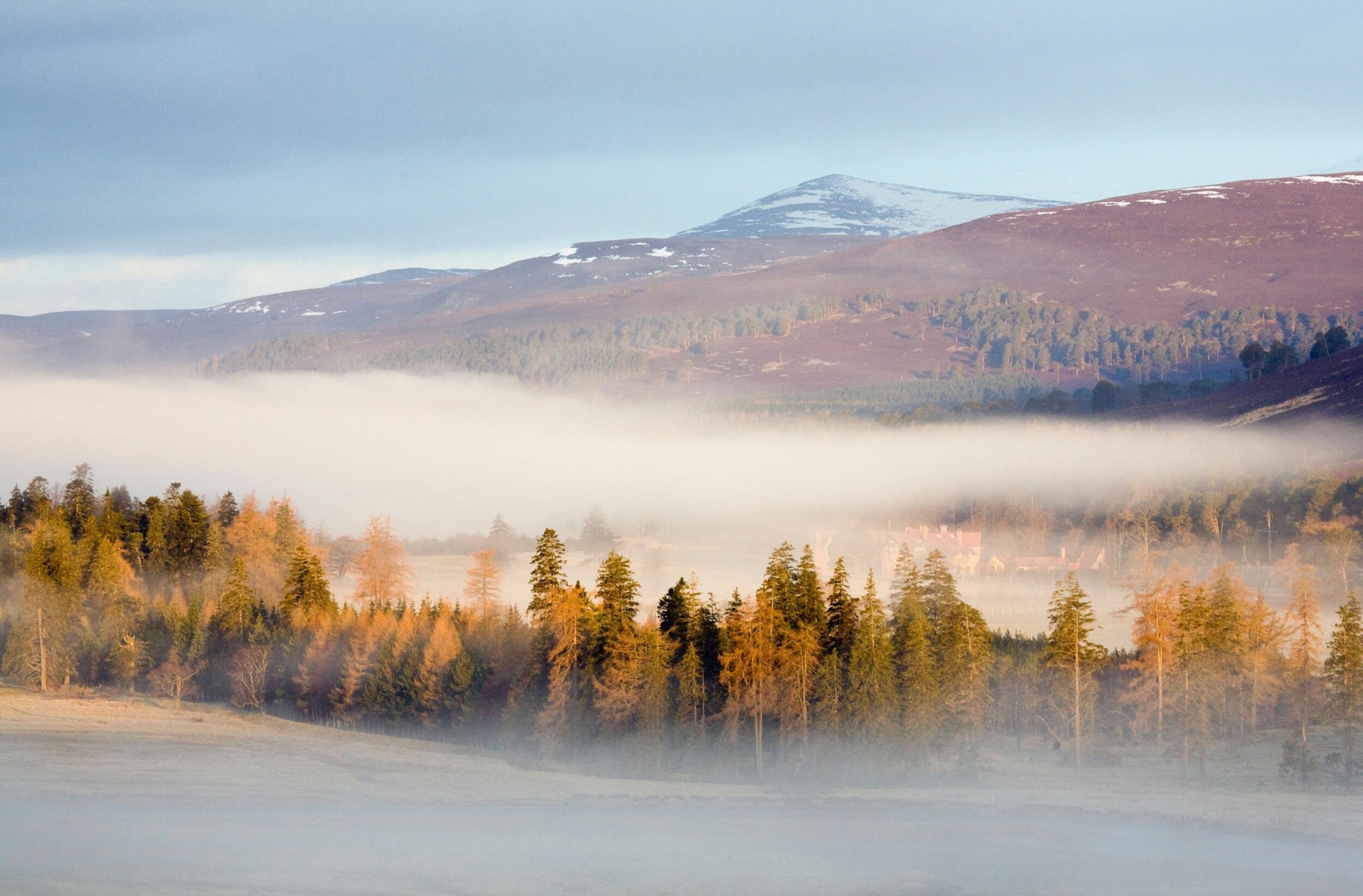 Morning mist at Mar Lodge Estate in Cairngorms National Park, Britain’s largest National Nature Reserve.