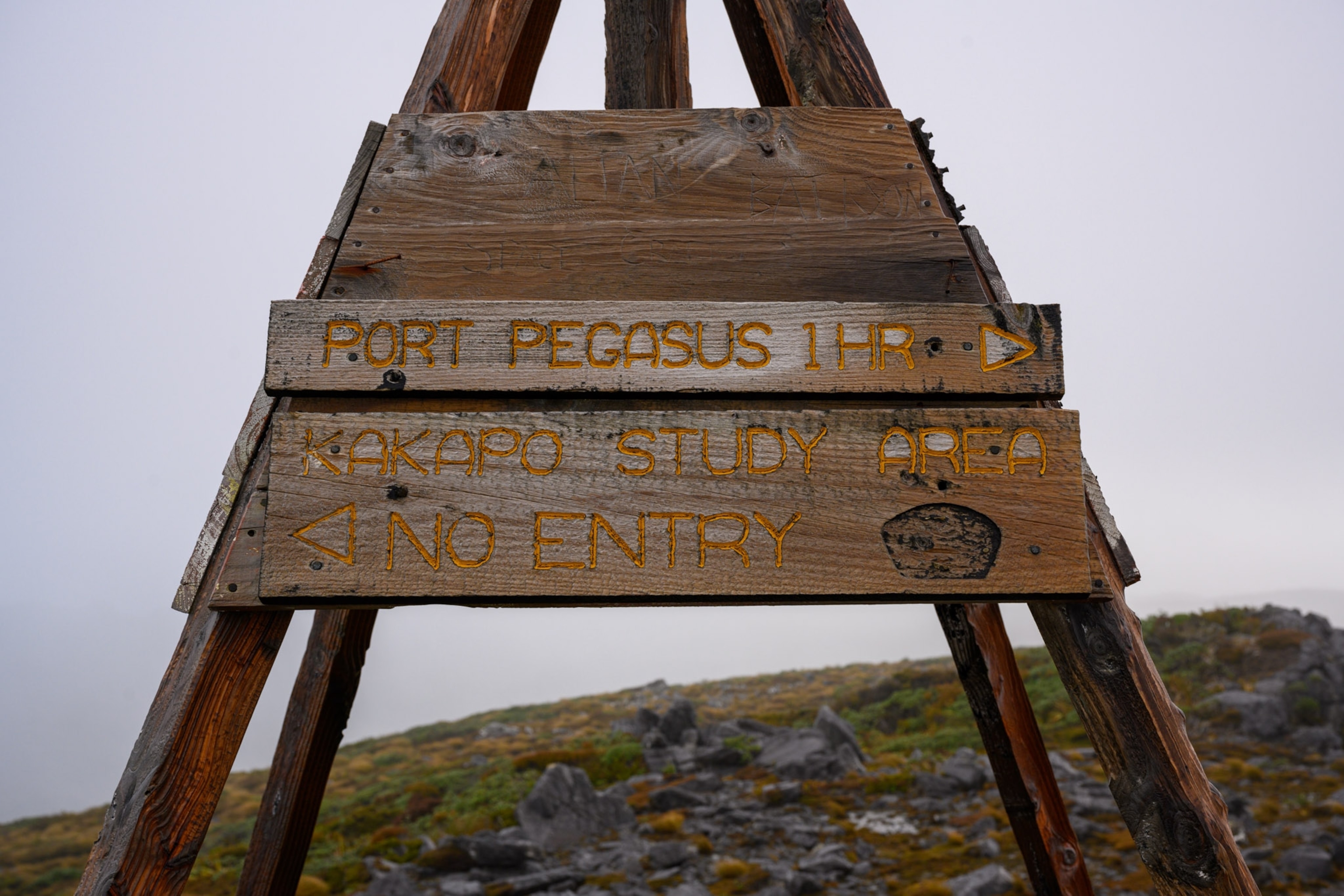 Signage.