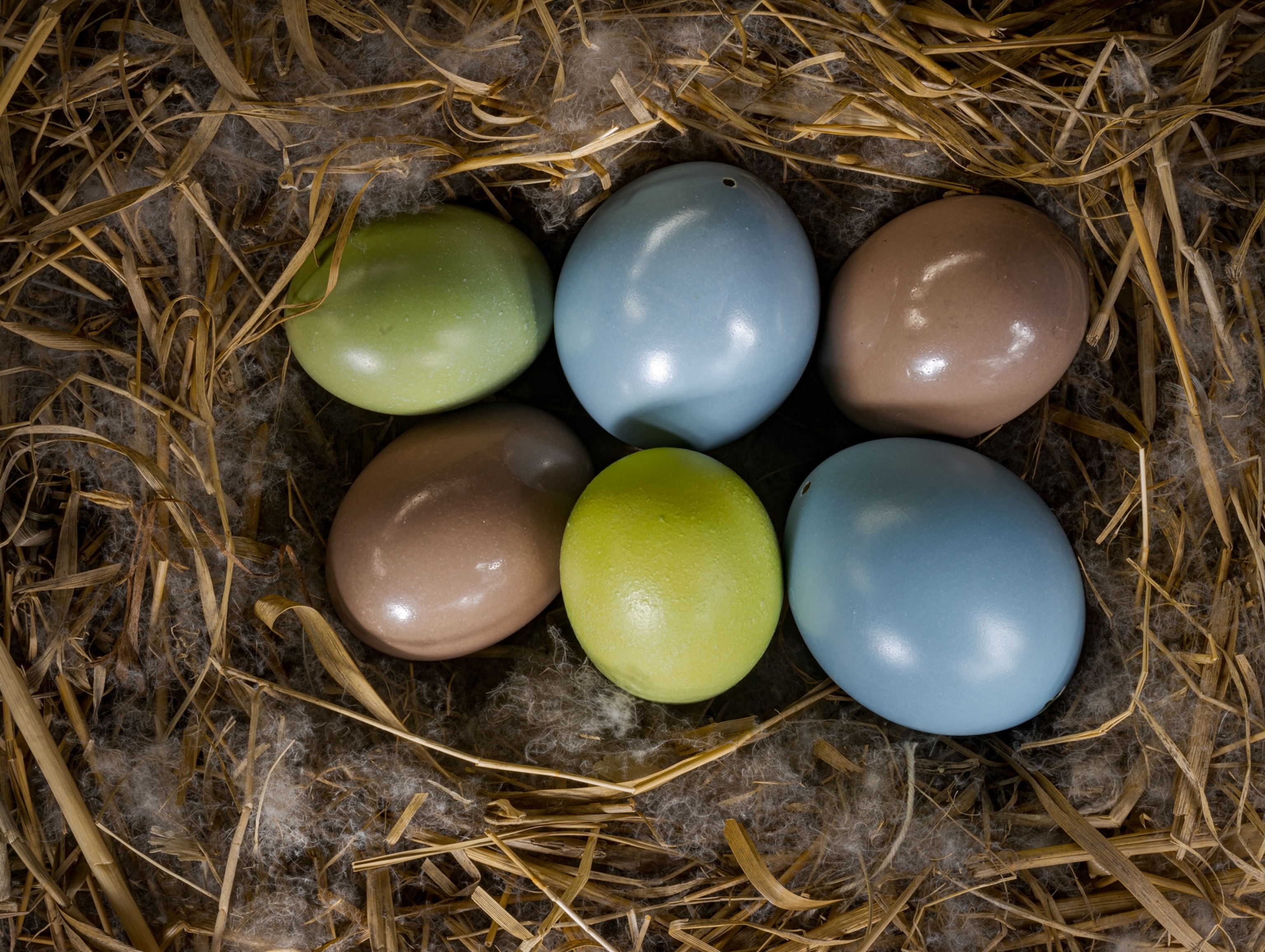 pastel green, blue, and brown eggs