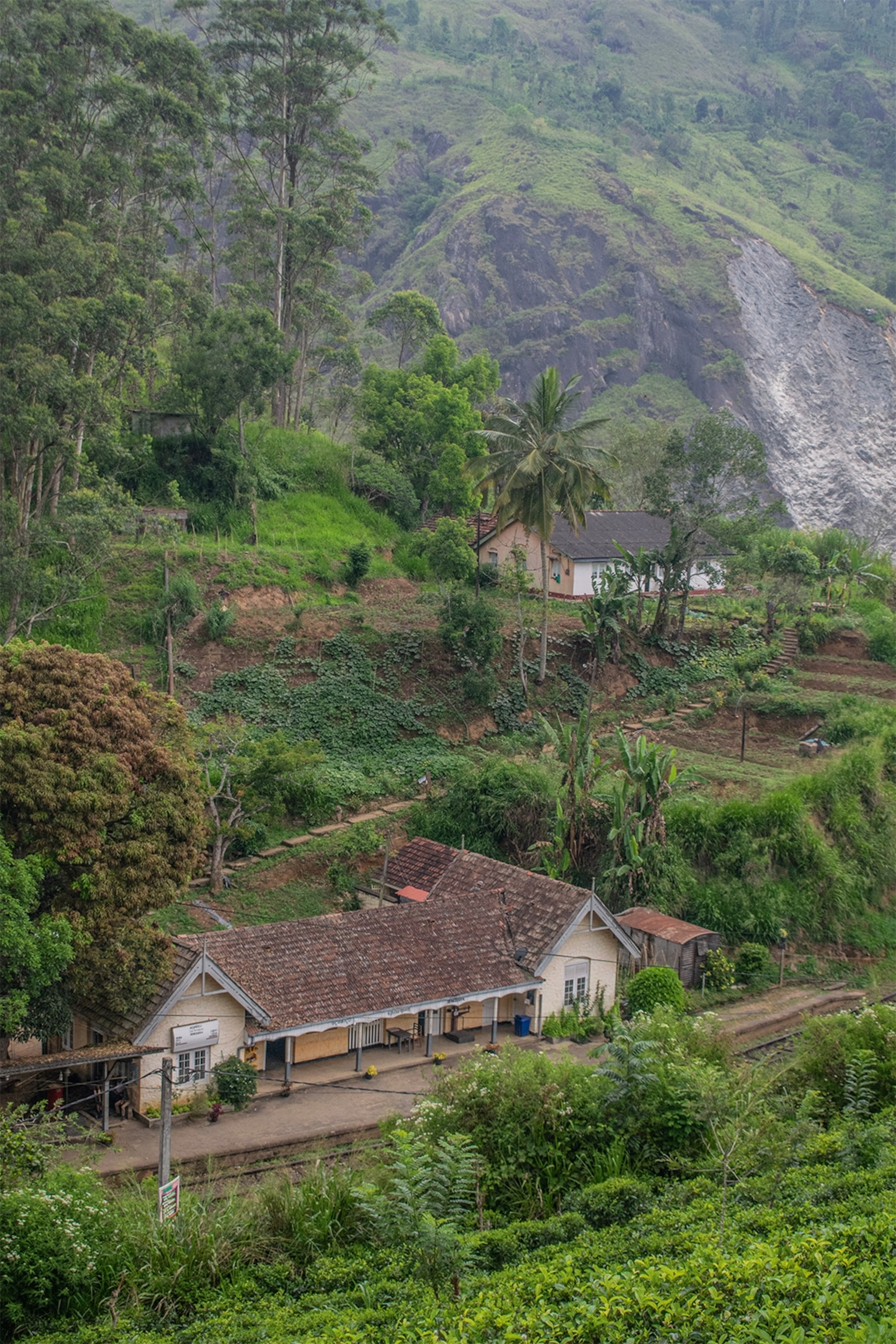 The Pekoe Trail links tea estates.