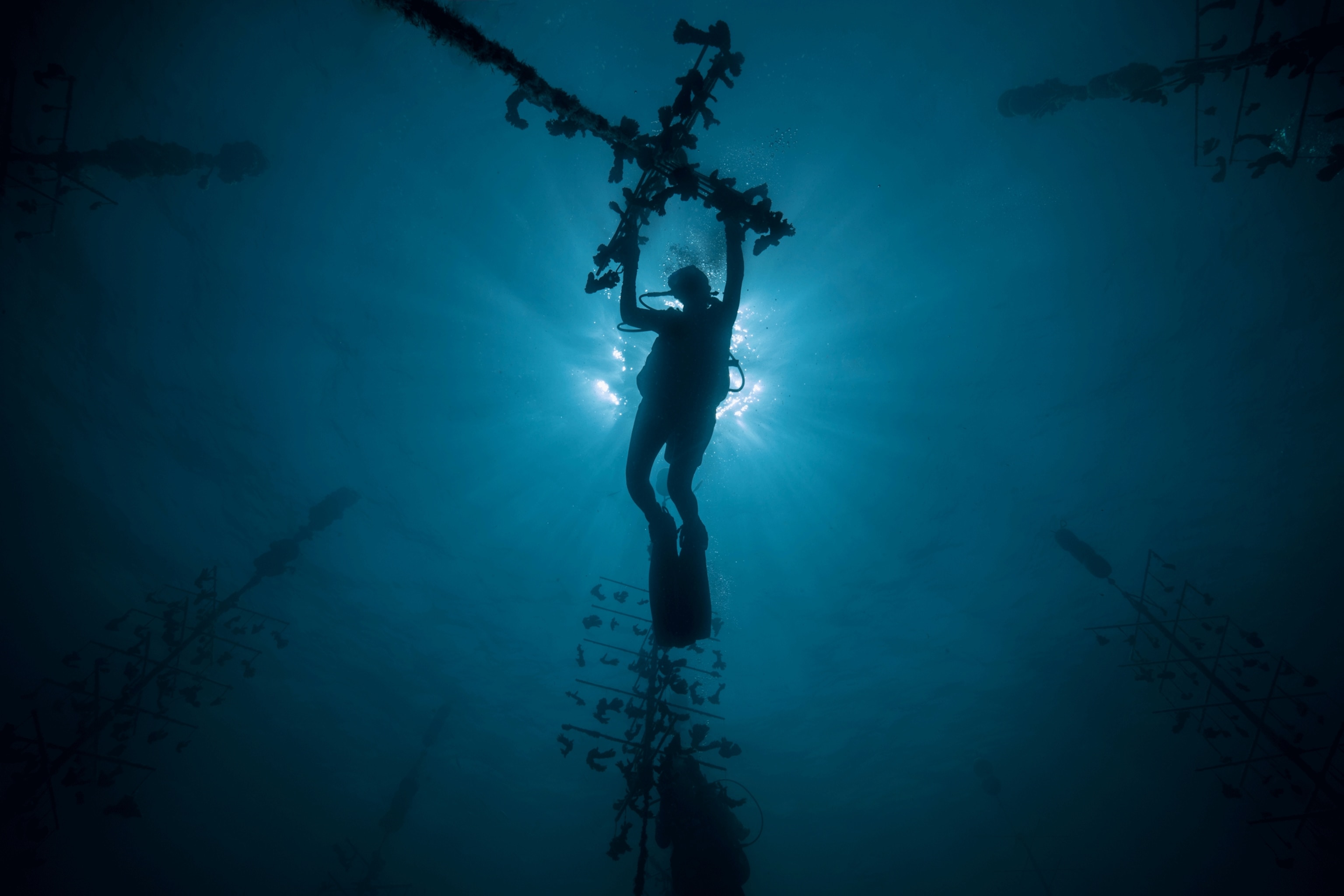 At the Coral Restoration Foundation visitors can get hands-on training in transplanting live coral fragments onto Coral Trees tethered to the ocean floor in one of the offshore coral nurseries.