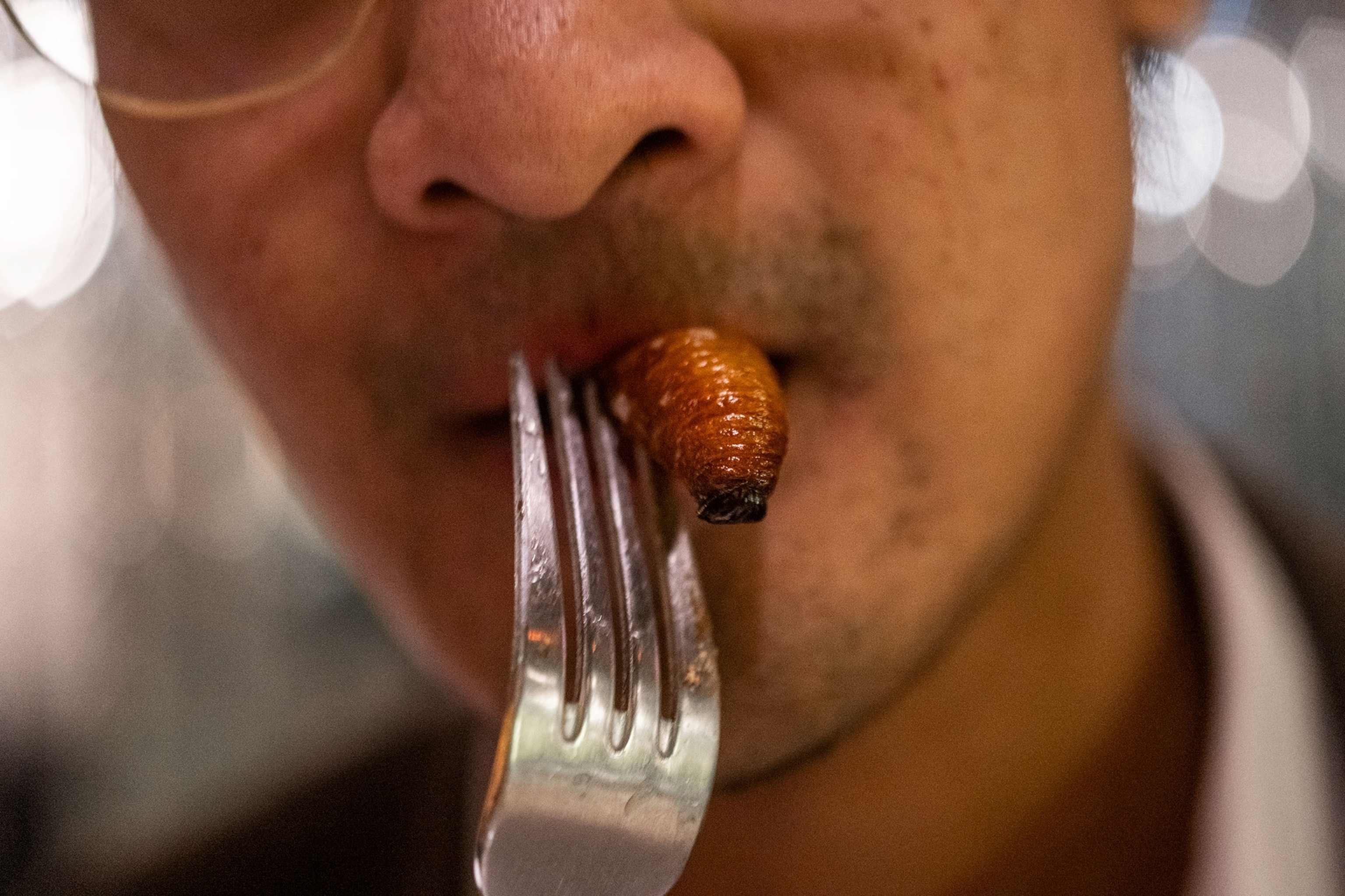 A close-up of a man biting into a big, brown insect on a fork.