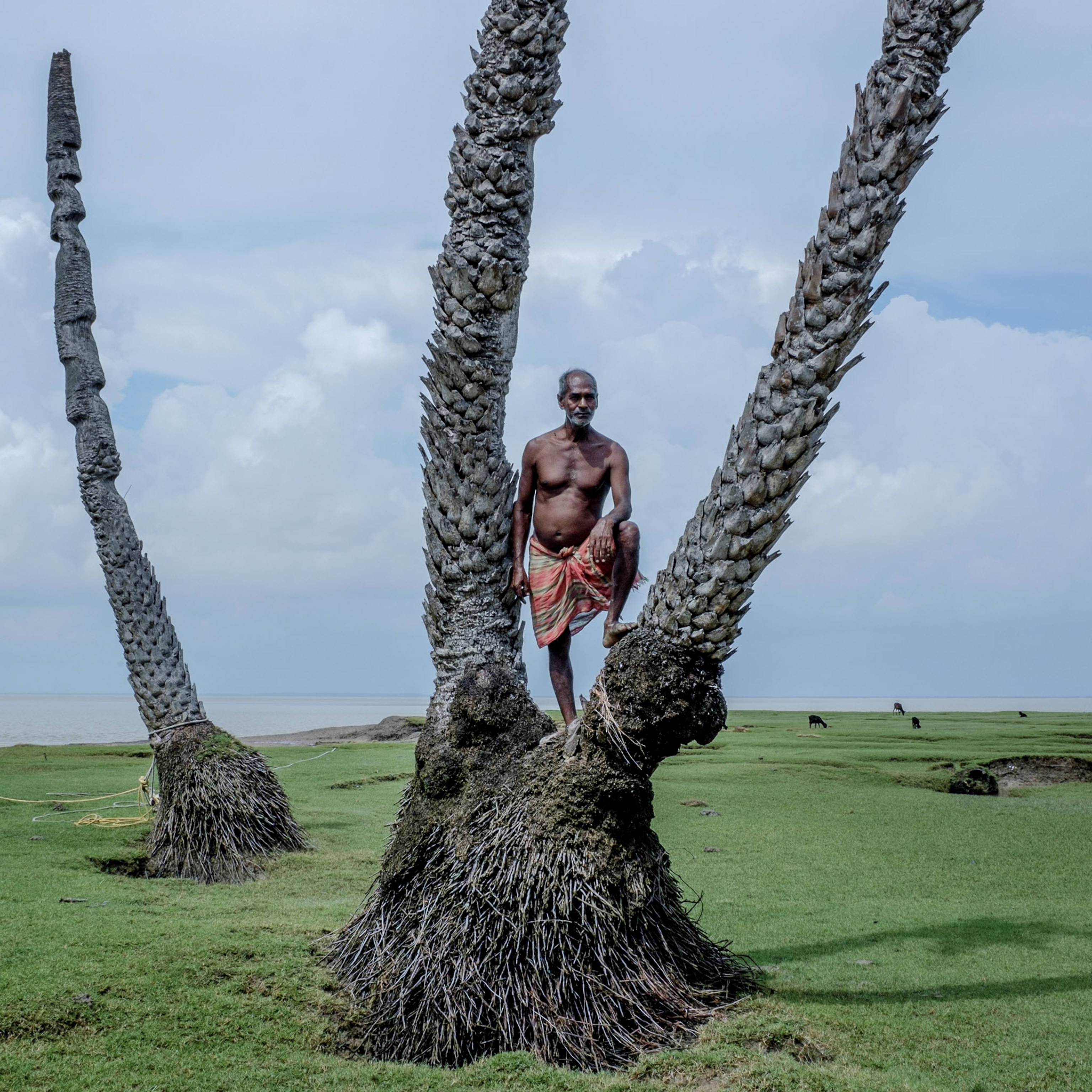 a man standing for a portrait on top of a tree