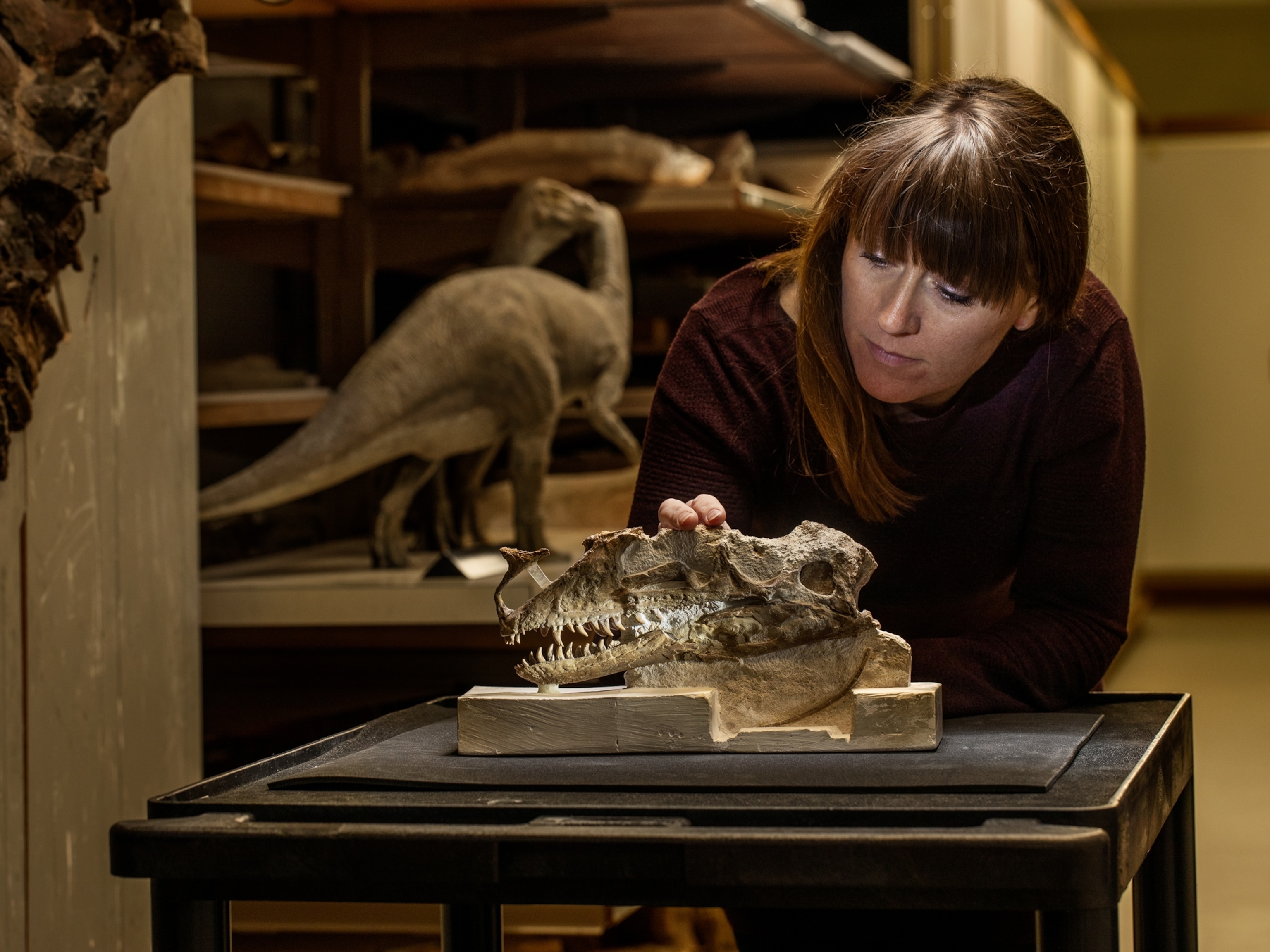 a woman inspecting a fossil on a table