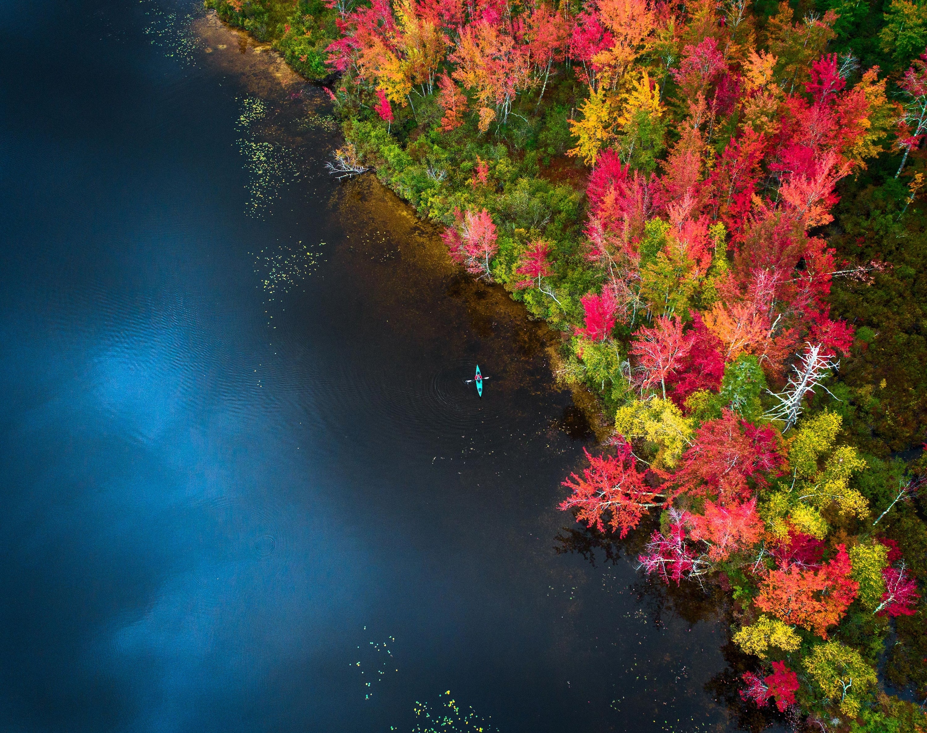 a kayaker enjoying the peak fall colors in Chocorua lake, New Hampshire