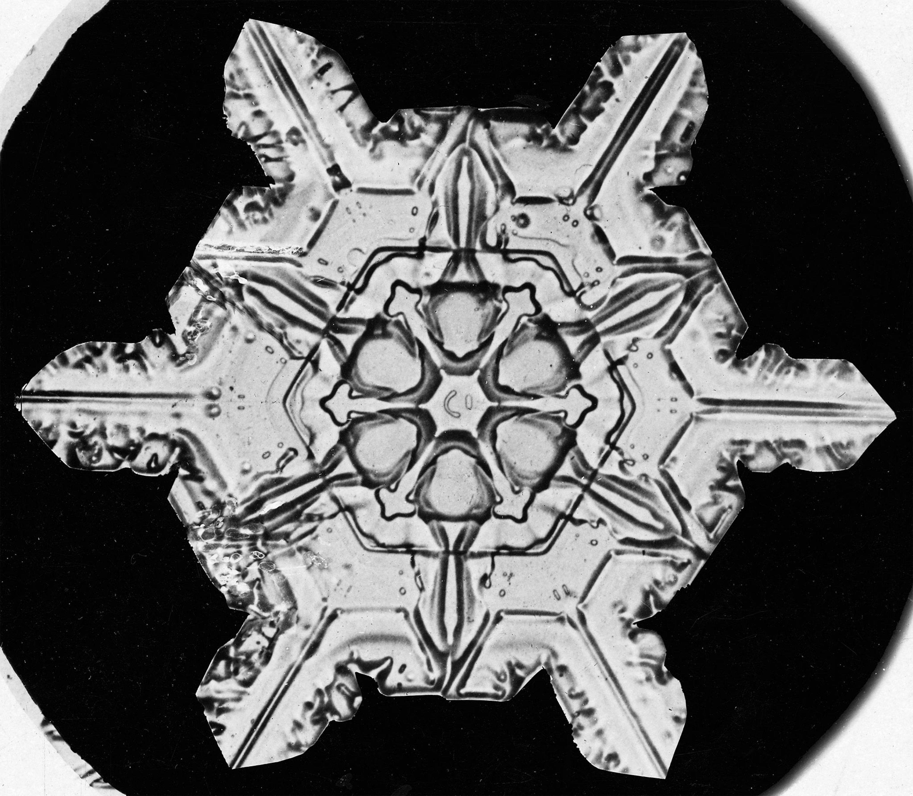 closeup of snowflake