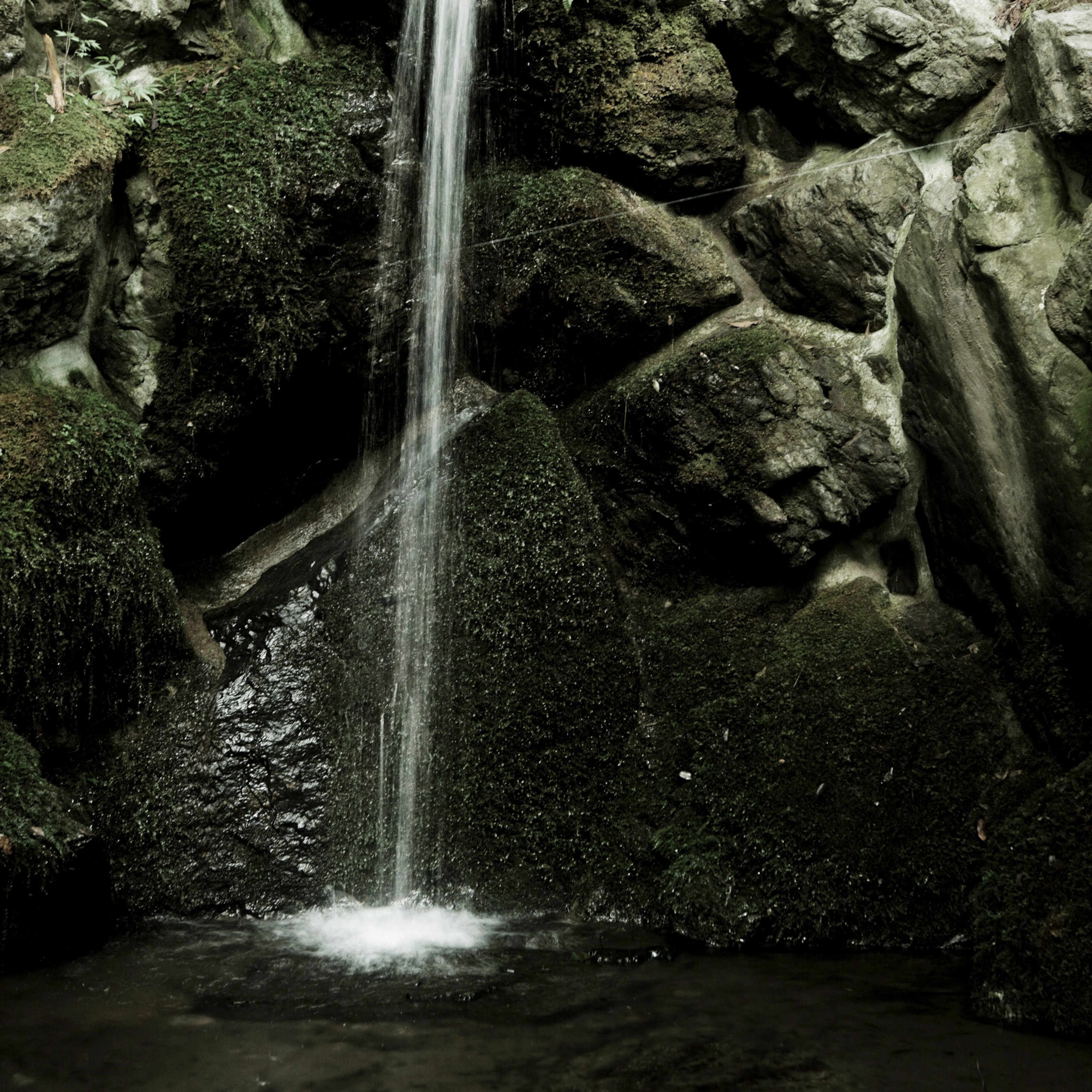 zen gardens in various places in japan
