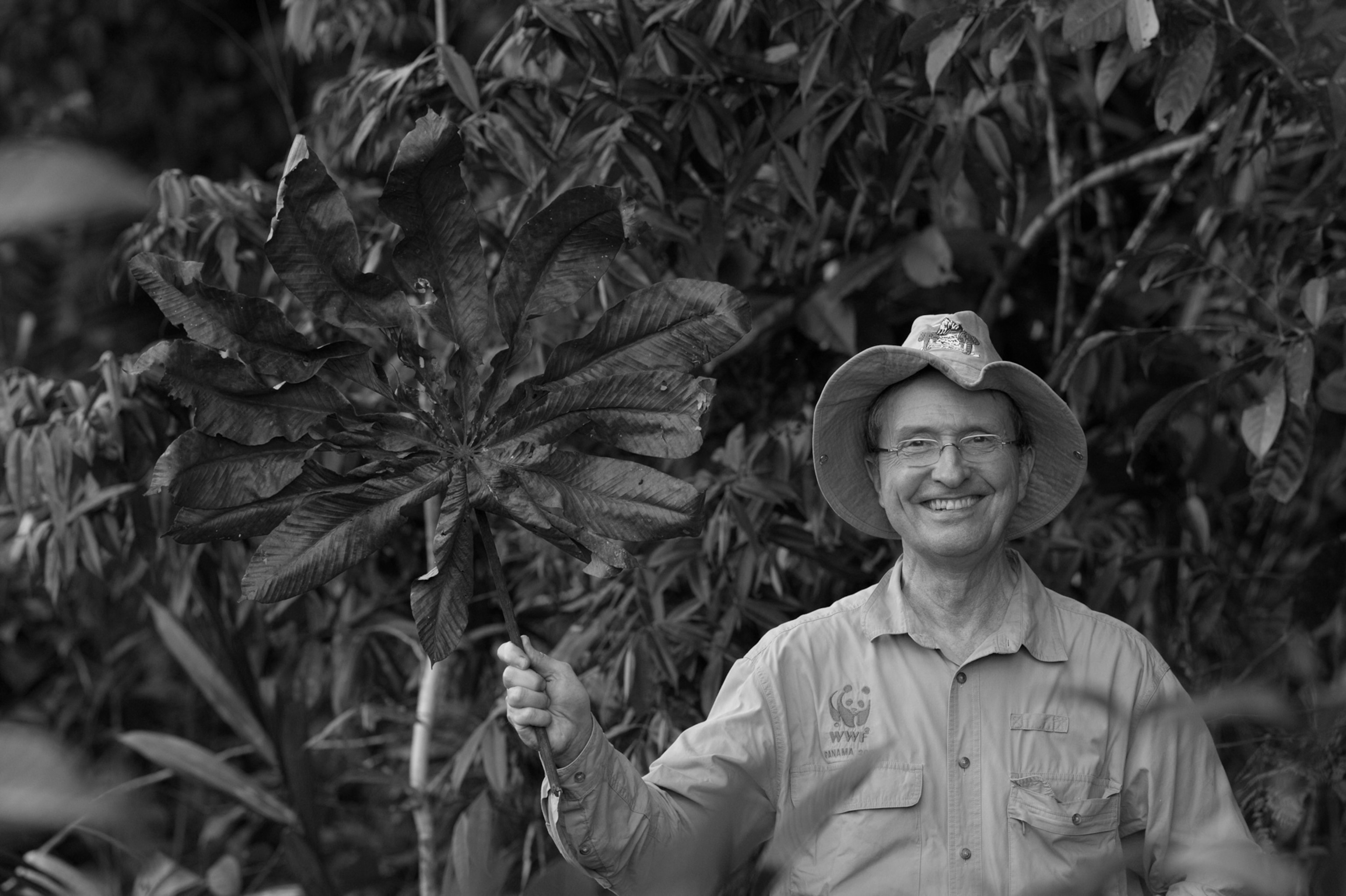 Picture of Dr. Thomas Lovejoy