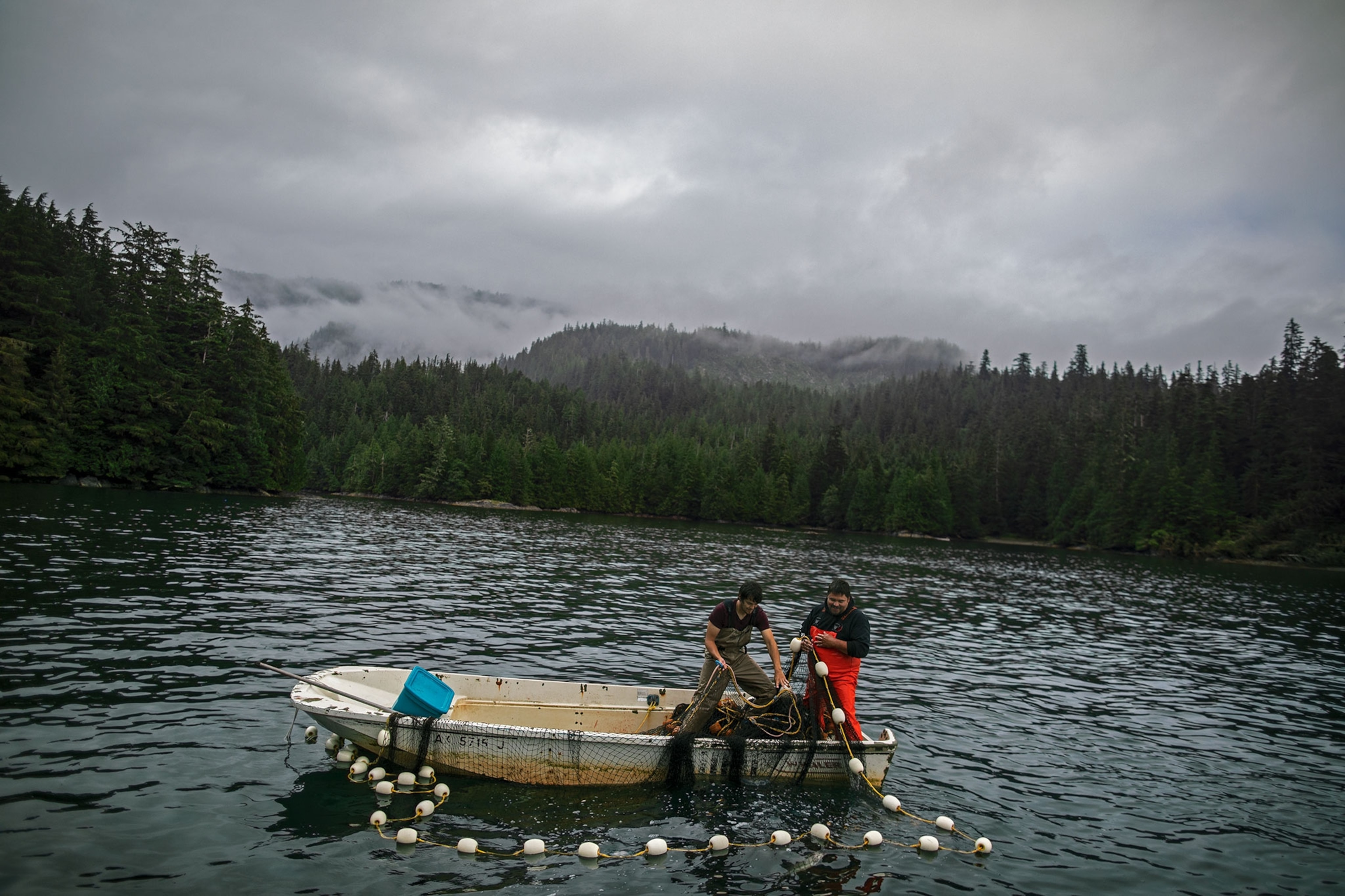 two men using a net to fish for Sockeye in a lake