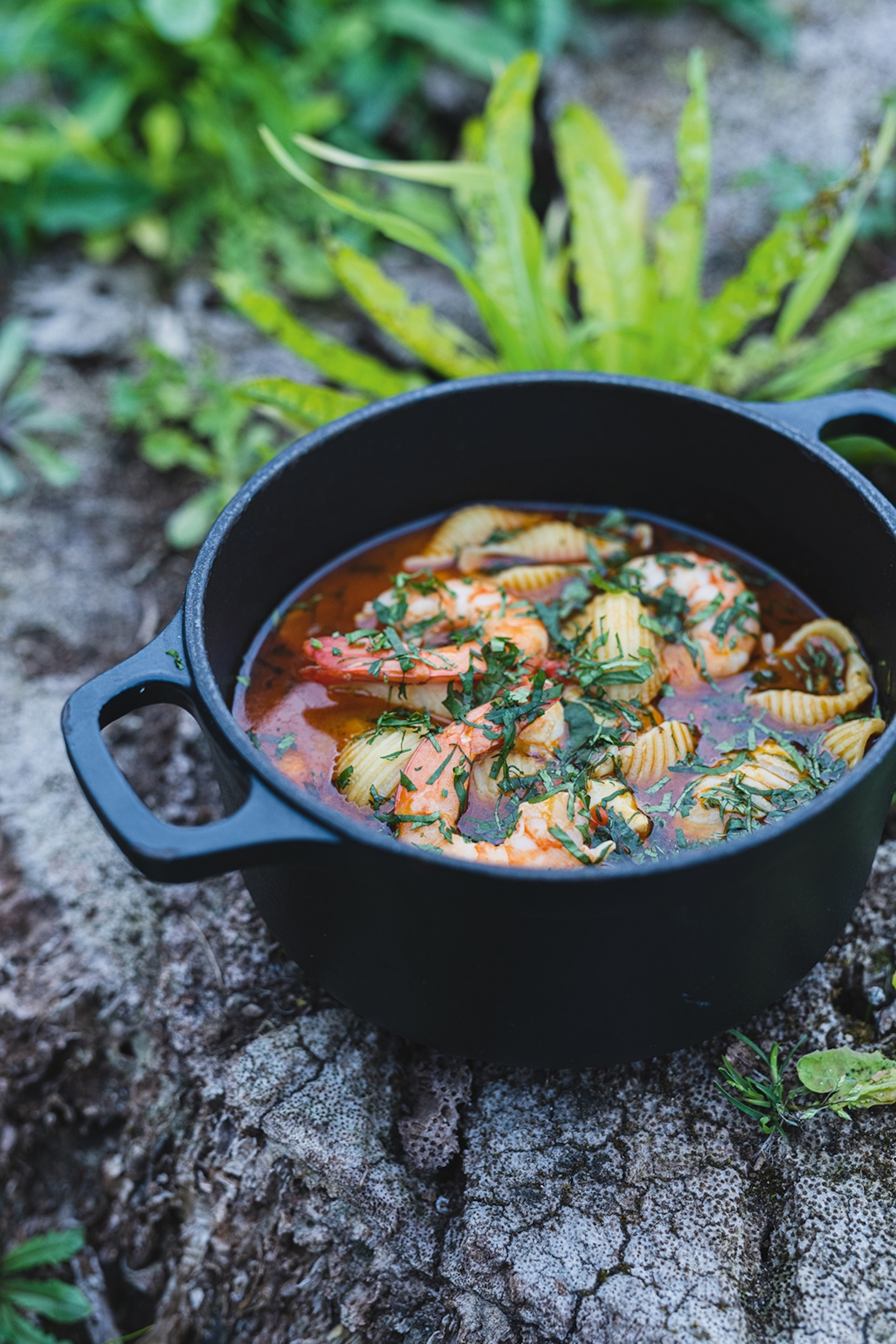 A bowl of fish and pasta stew