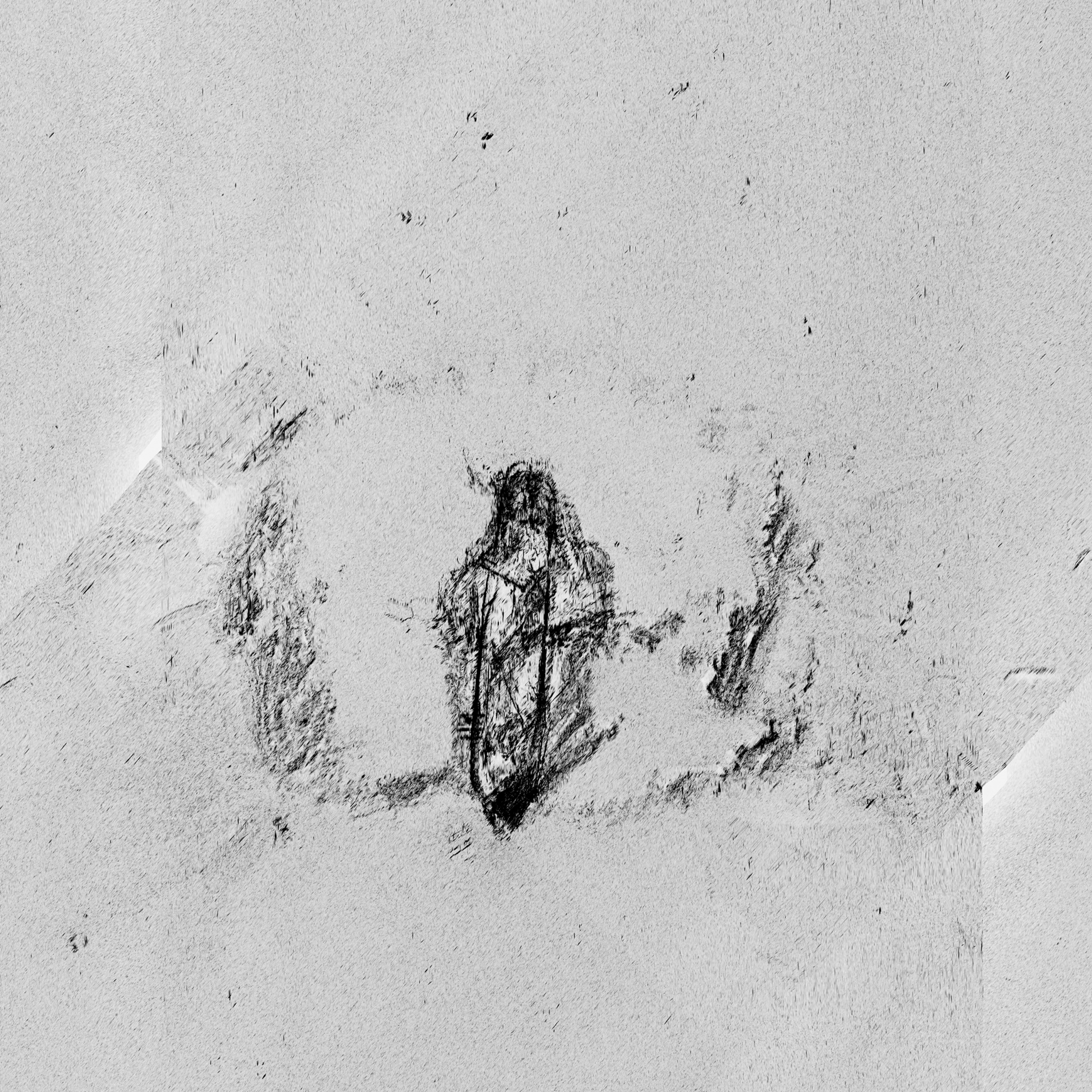 The post-processed sonar image of the wreck of Endurance shows the ship lying intact on the seabed.