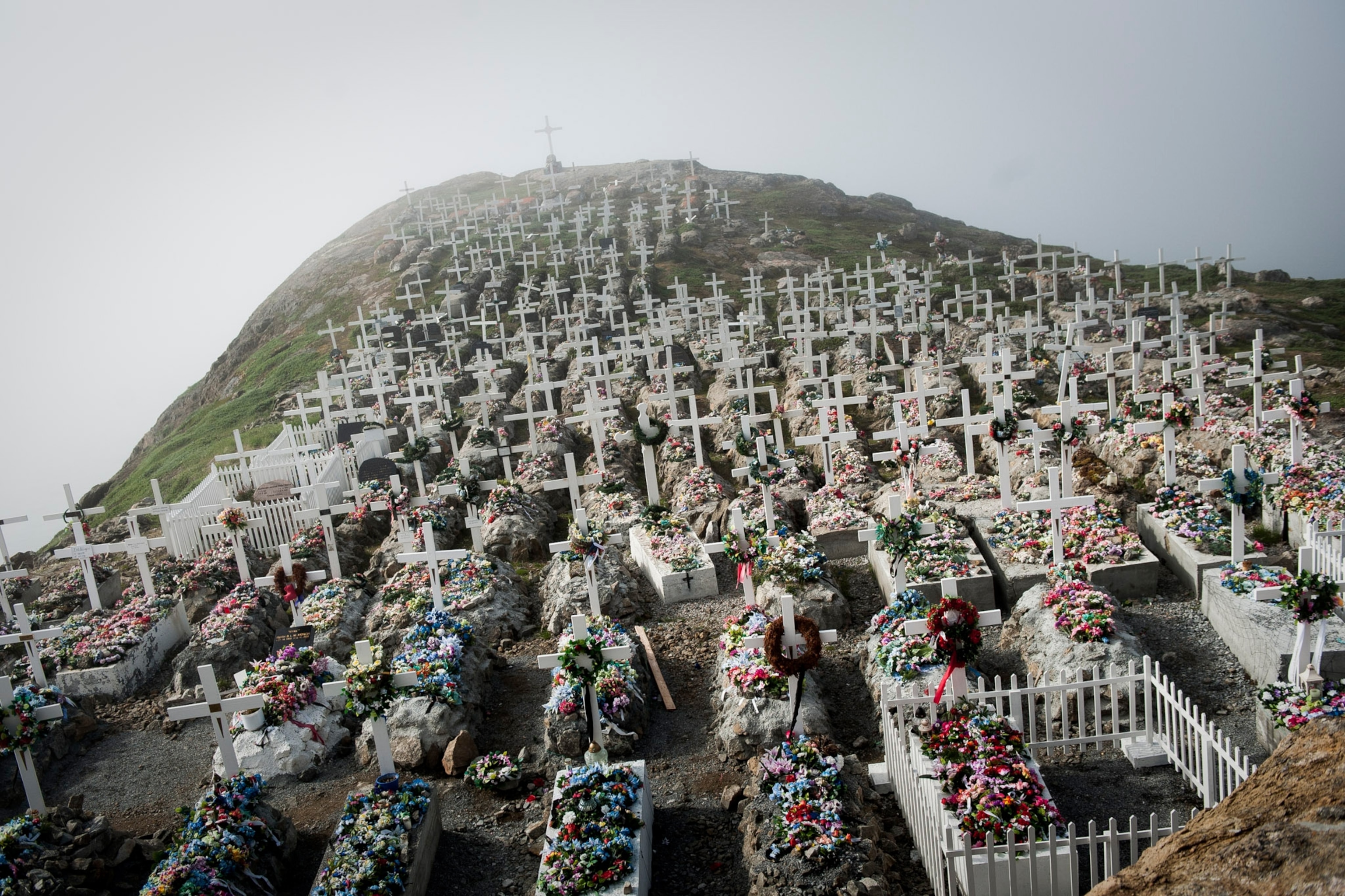 field of coffins above ground
