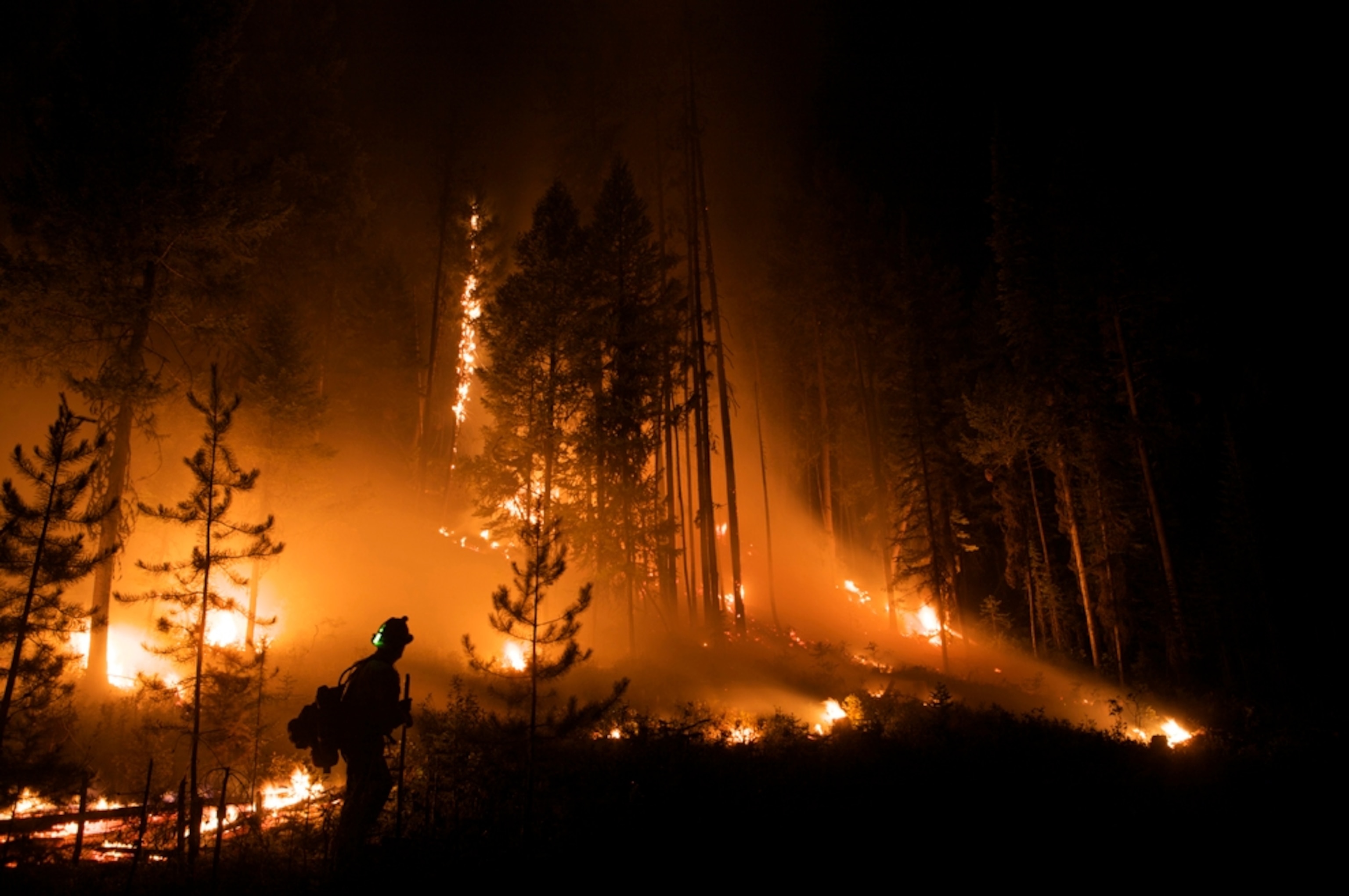 wildfire with firefighter