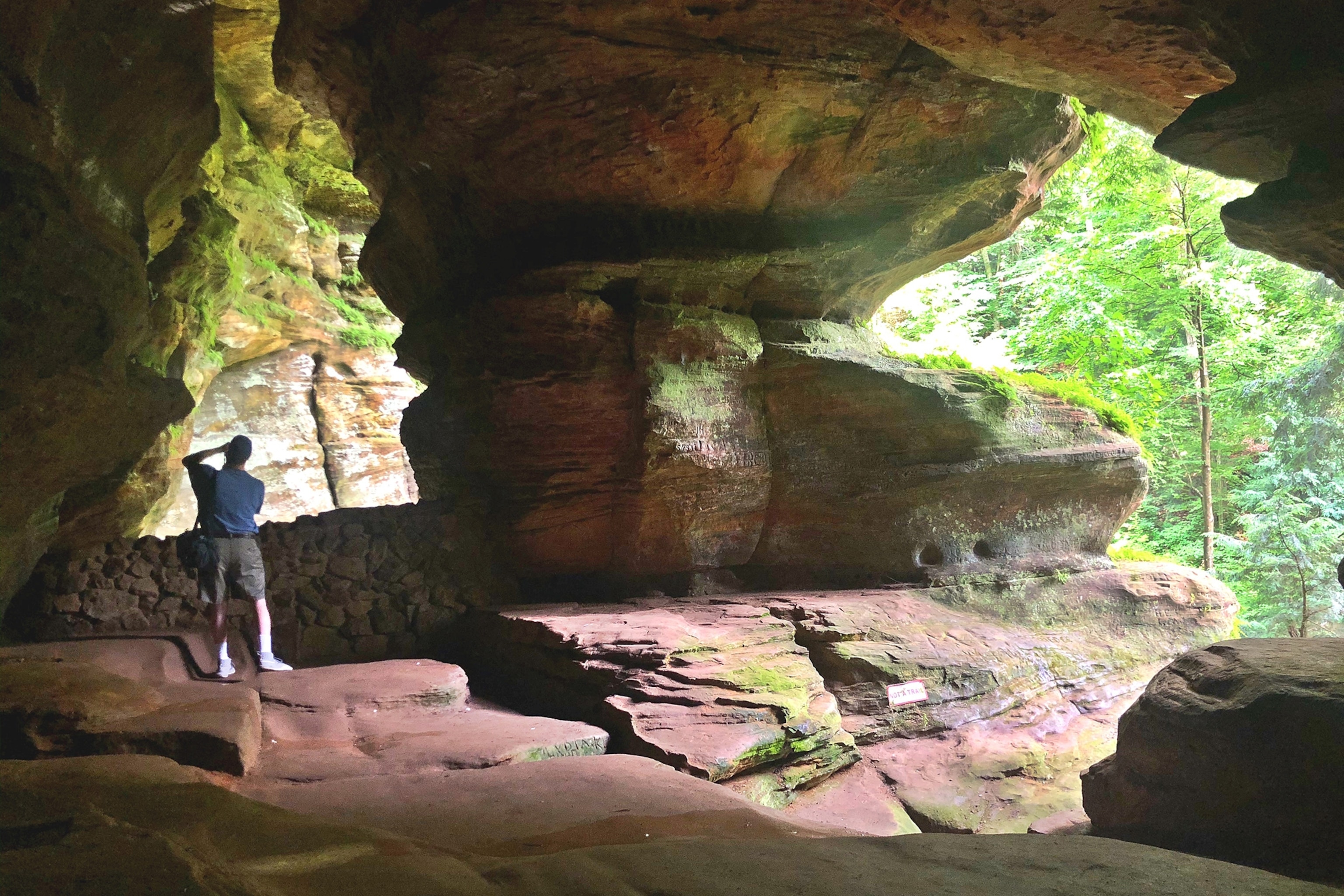 Man standing in a cave in a forest
