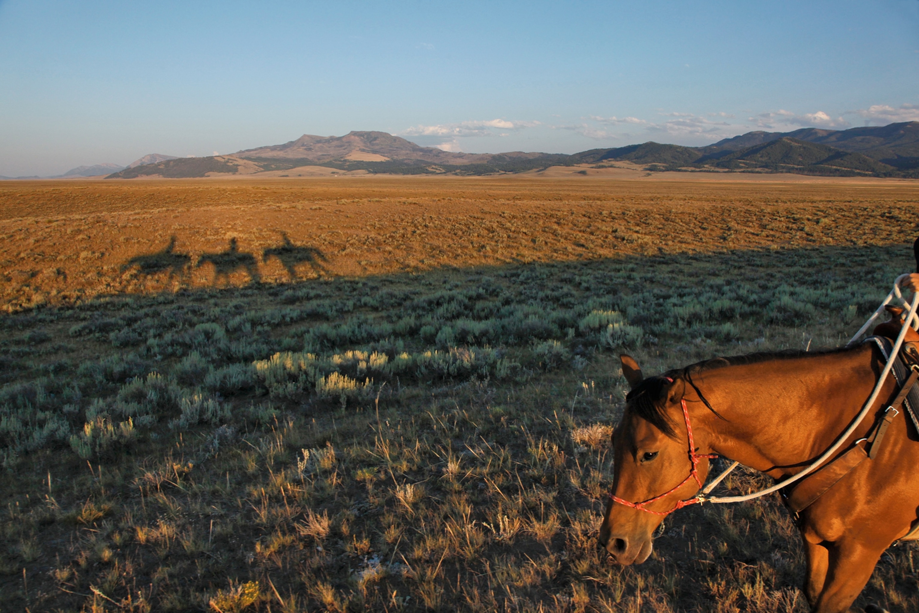 the silhouettes of riders passing through the Centennial Valley of Montana